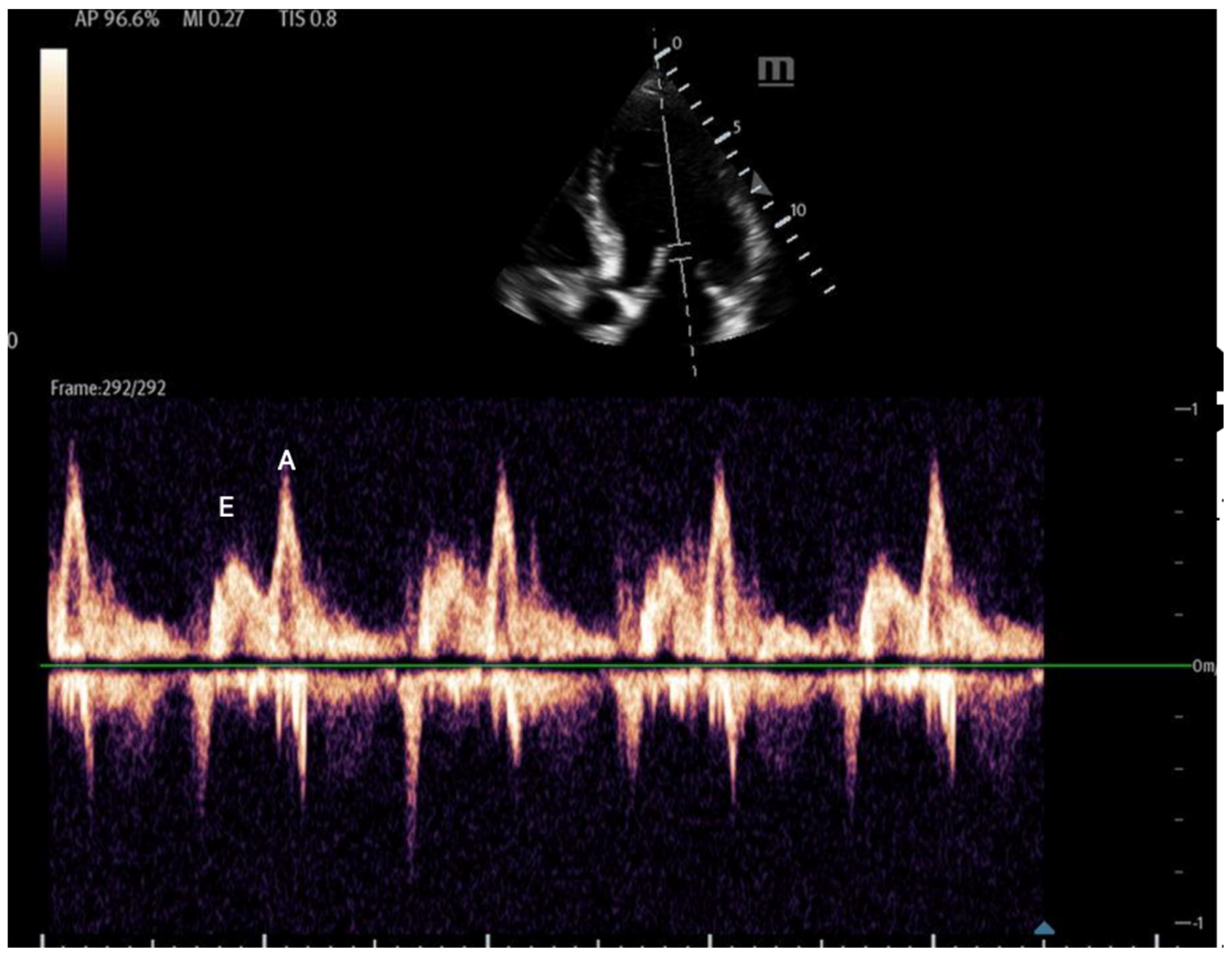 Biomedicines 13 01426 g014