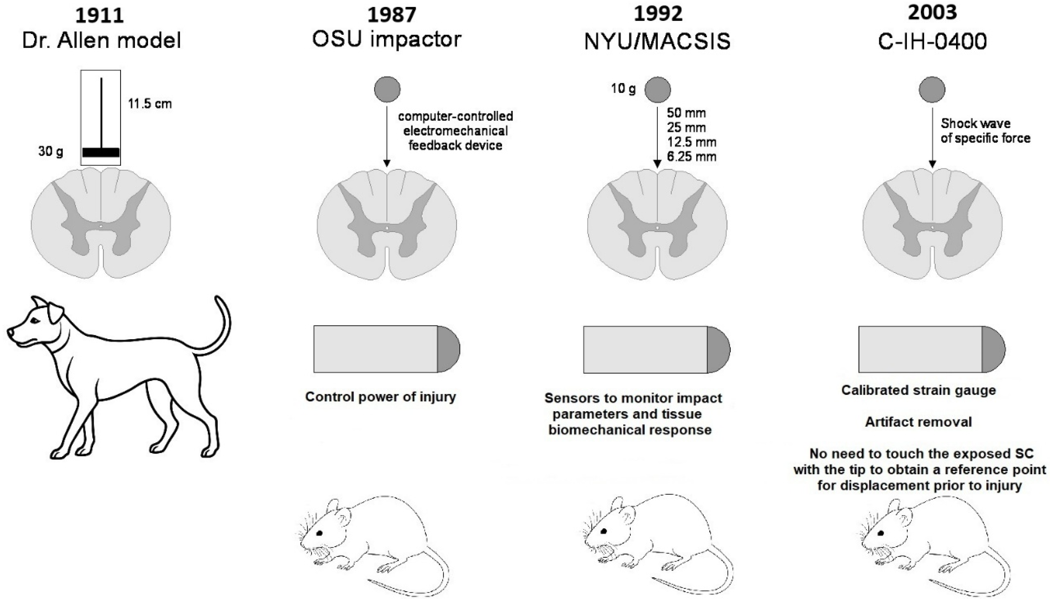 Biomedicines 13 01427 g002 Biomedicines 13 01427 g002