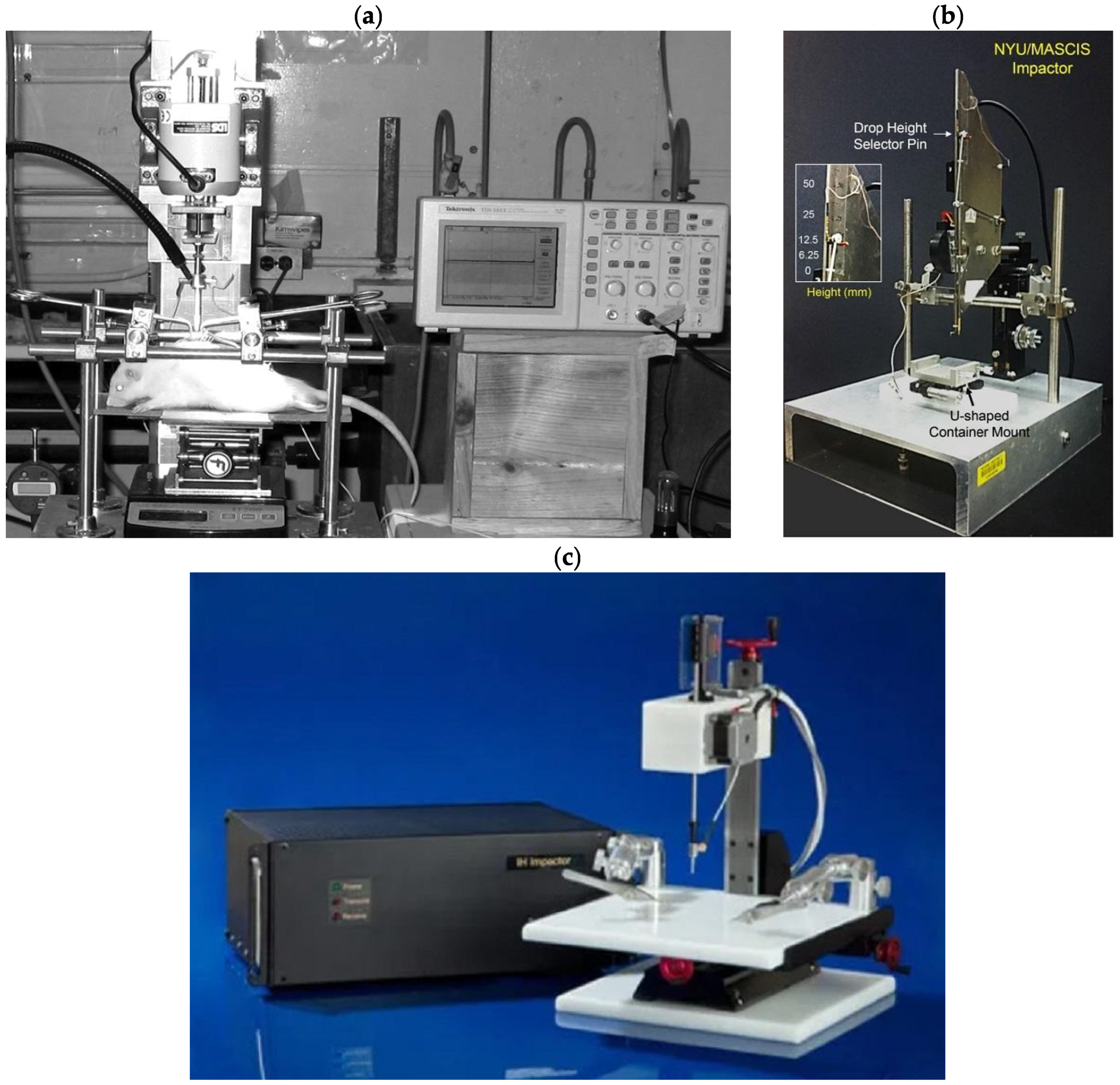 Biomedicines 13 01427 g003 Biomedicines 13 01427 g003