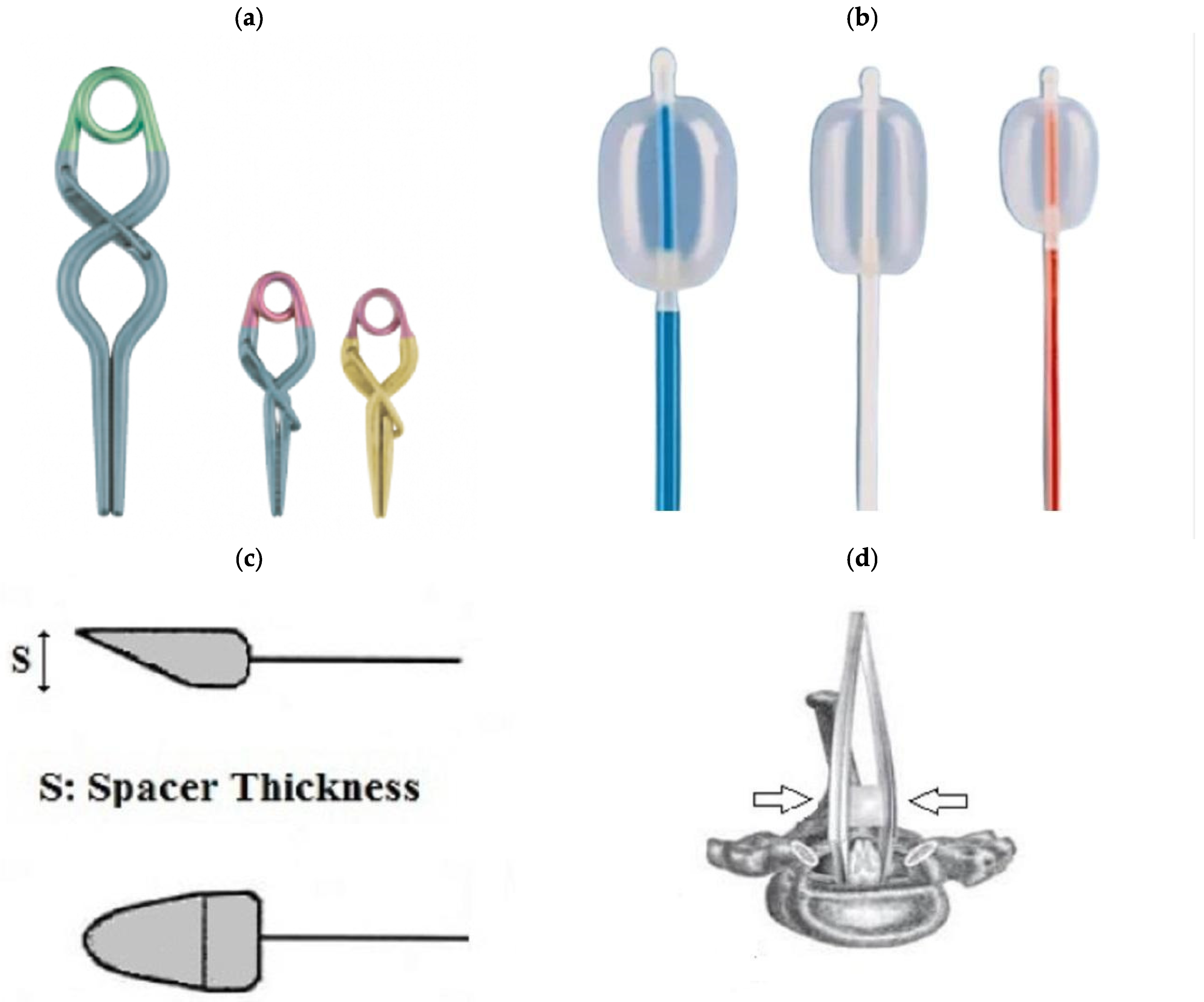 Biomedicines 13 01427 g004 Biomedicines 13 01427 g004