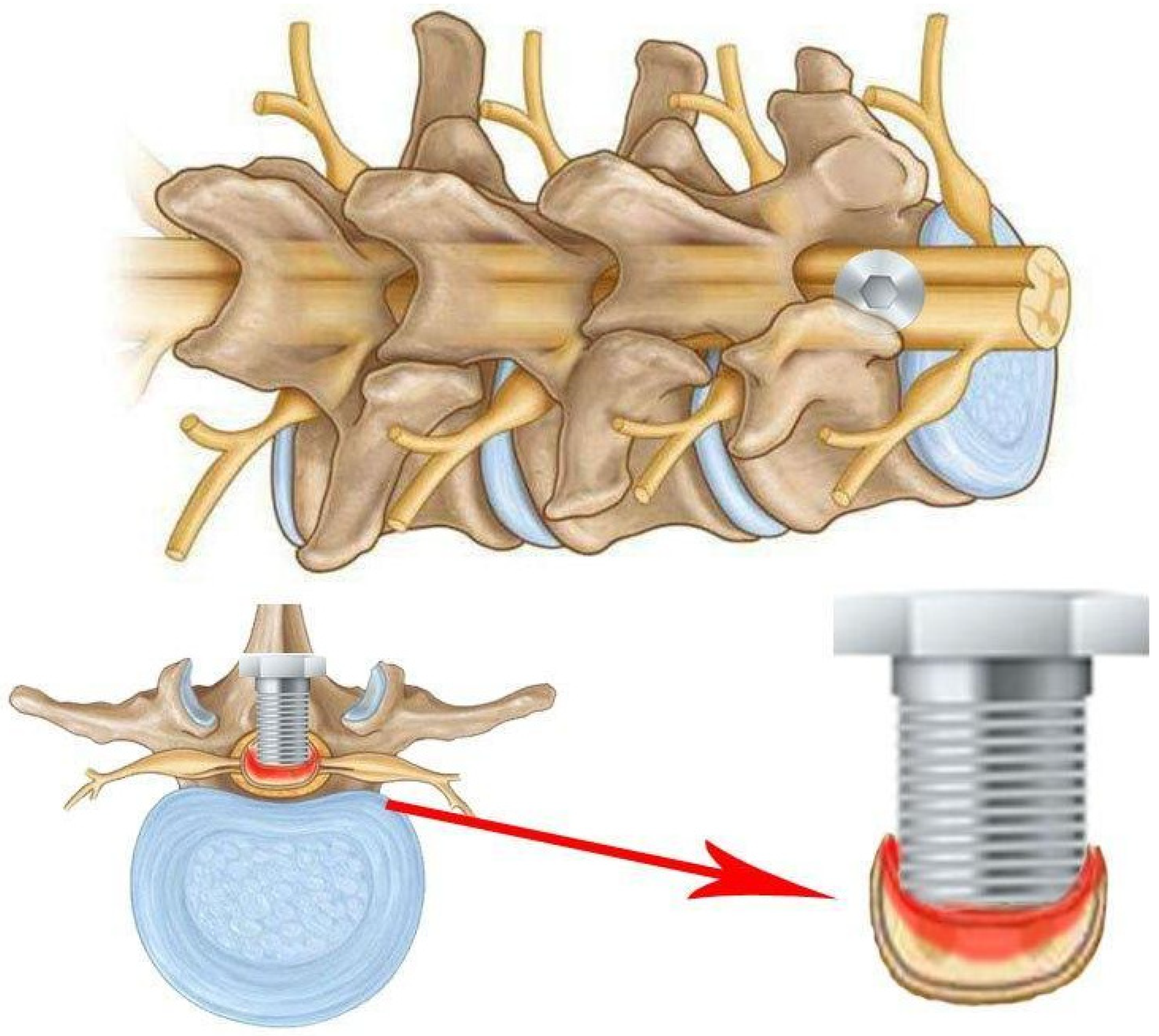 Biomedicines 13 01427 g010 Biomedicines 13 01427 g010
