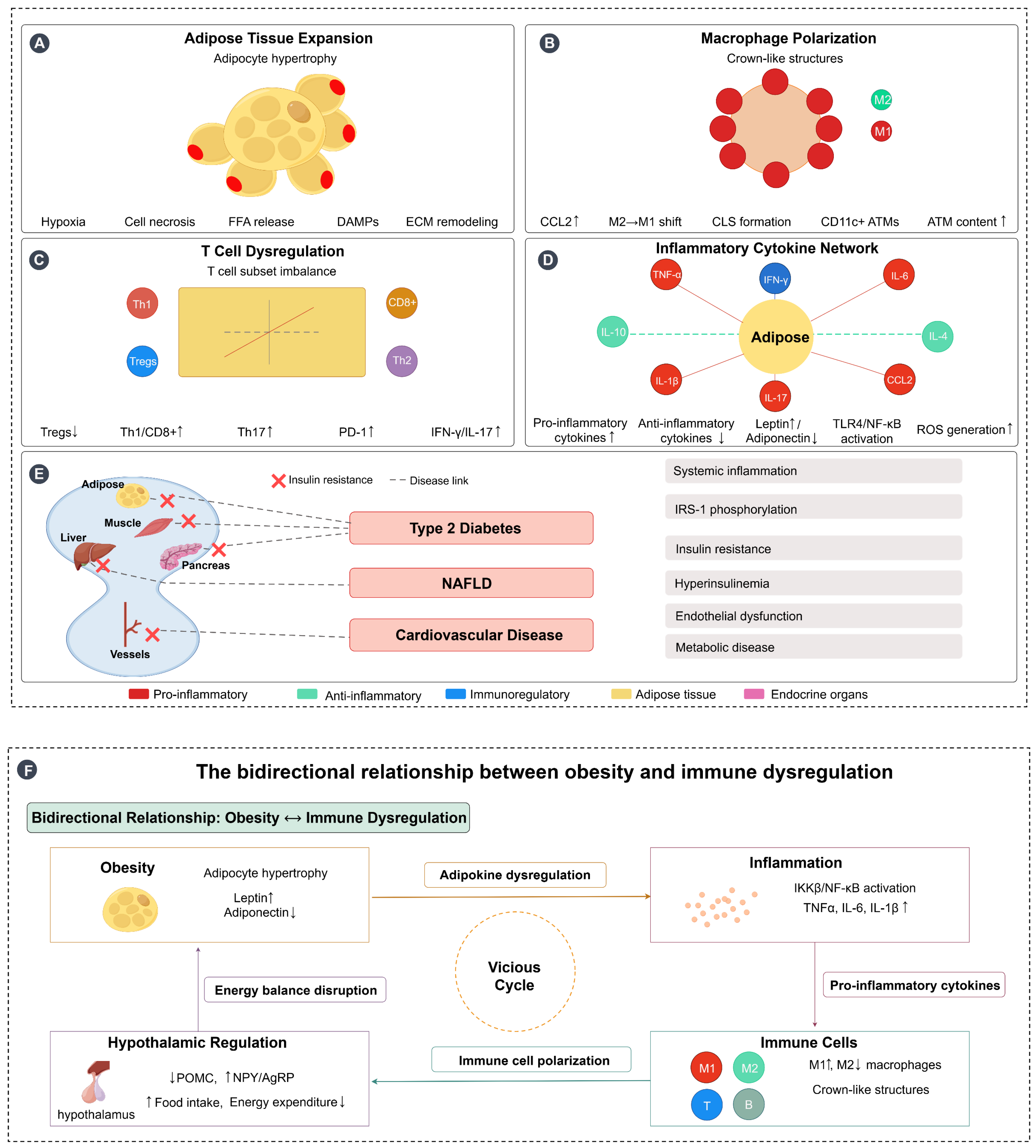 Biomedicines 13 01429 g001