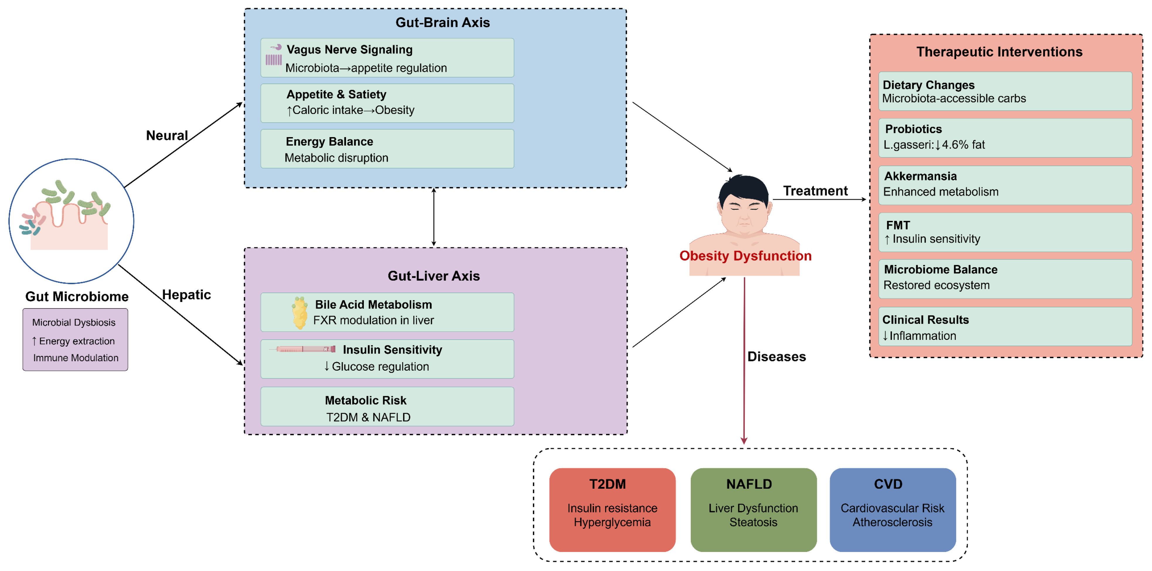 Biomedicines 13 01429 g002