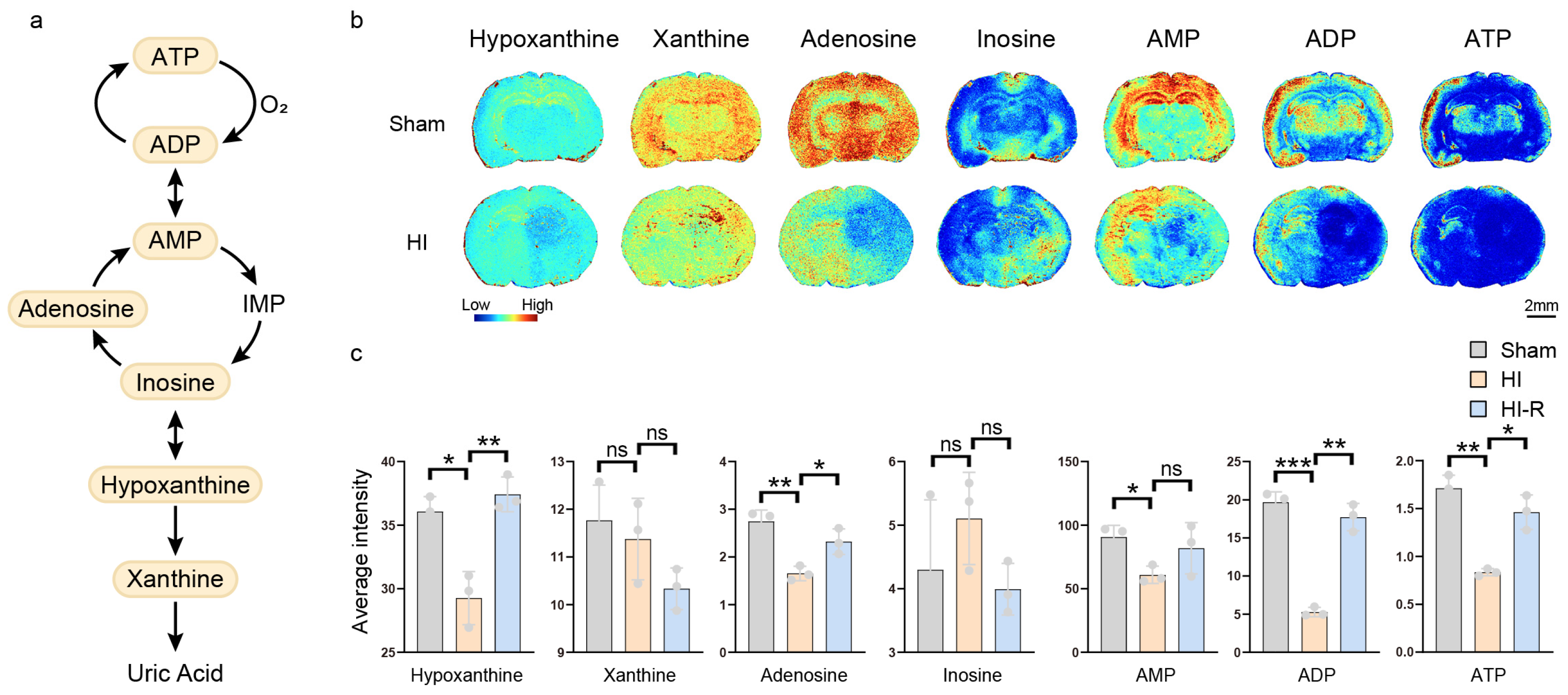 Biomedicines 13 01431 g003