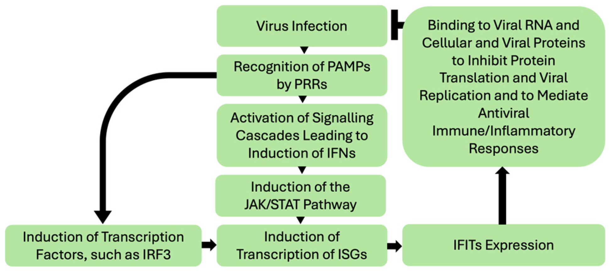 Biomedicines 13 01435 g001