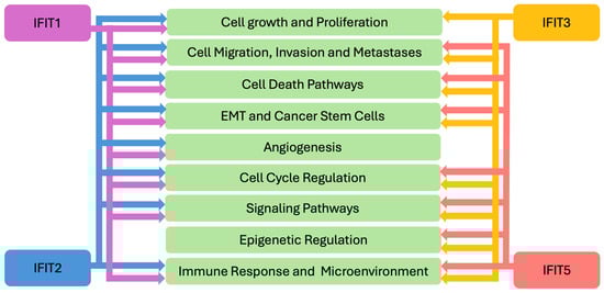 Biomedicines 13 01435 g002