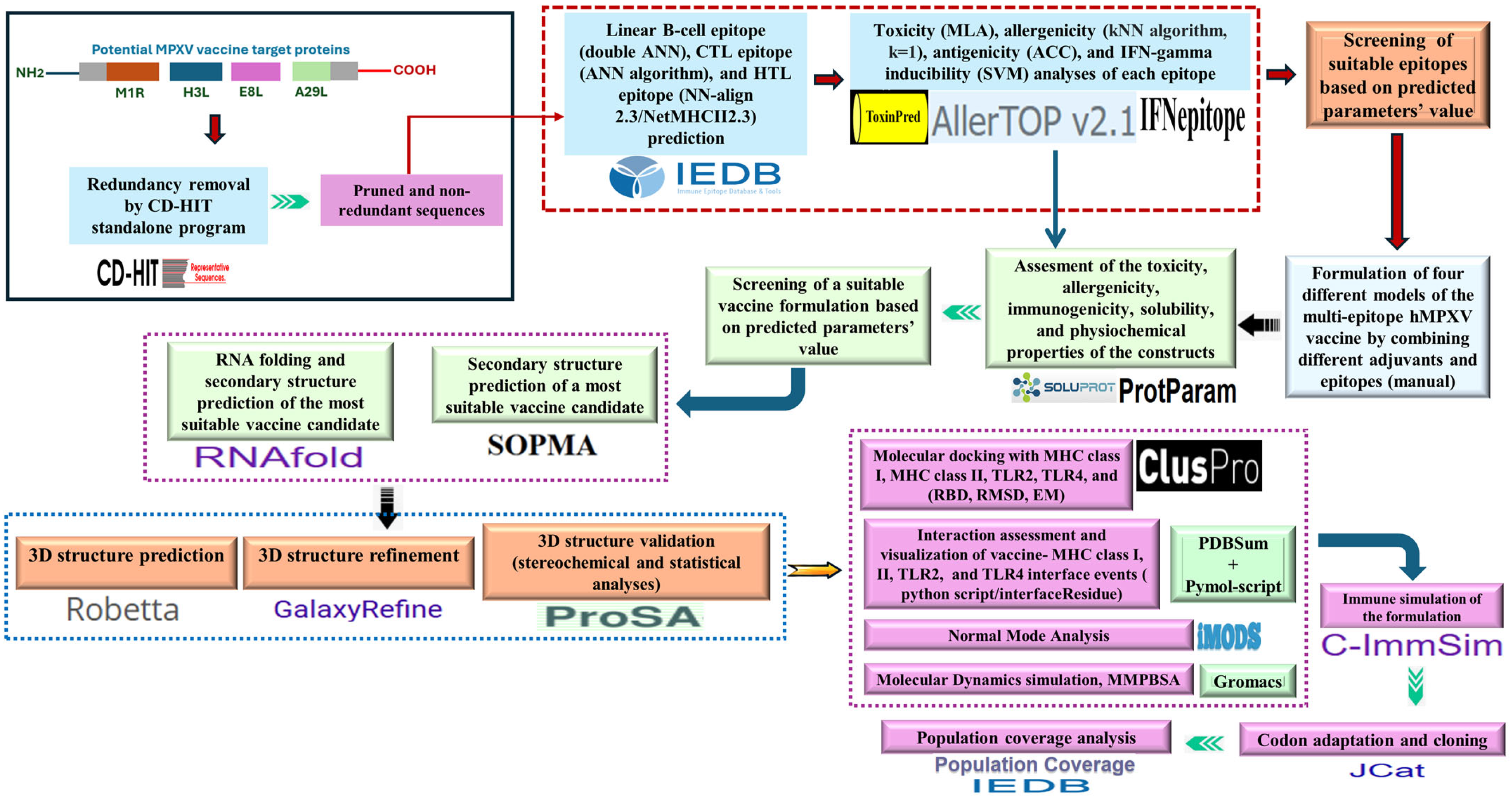 Biomedicines 13 01439 g001