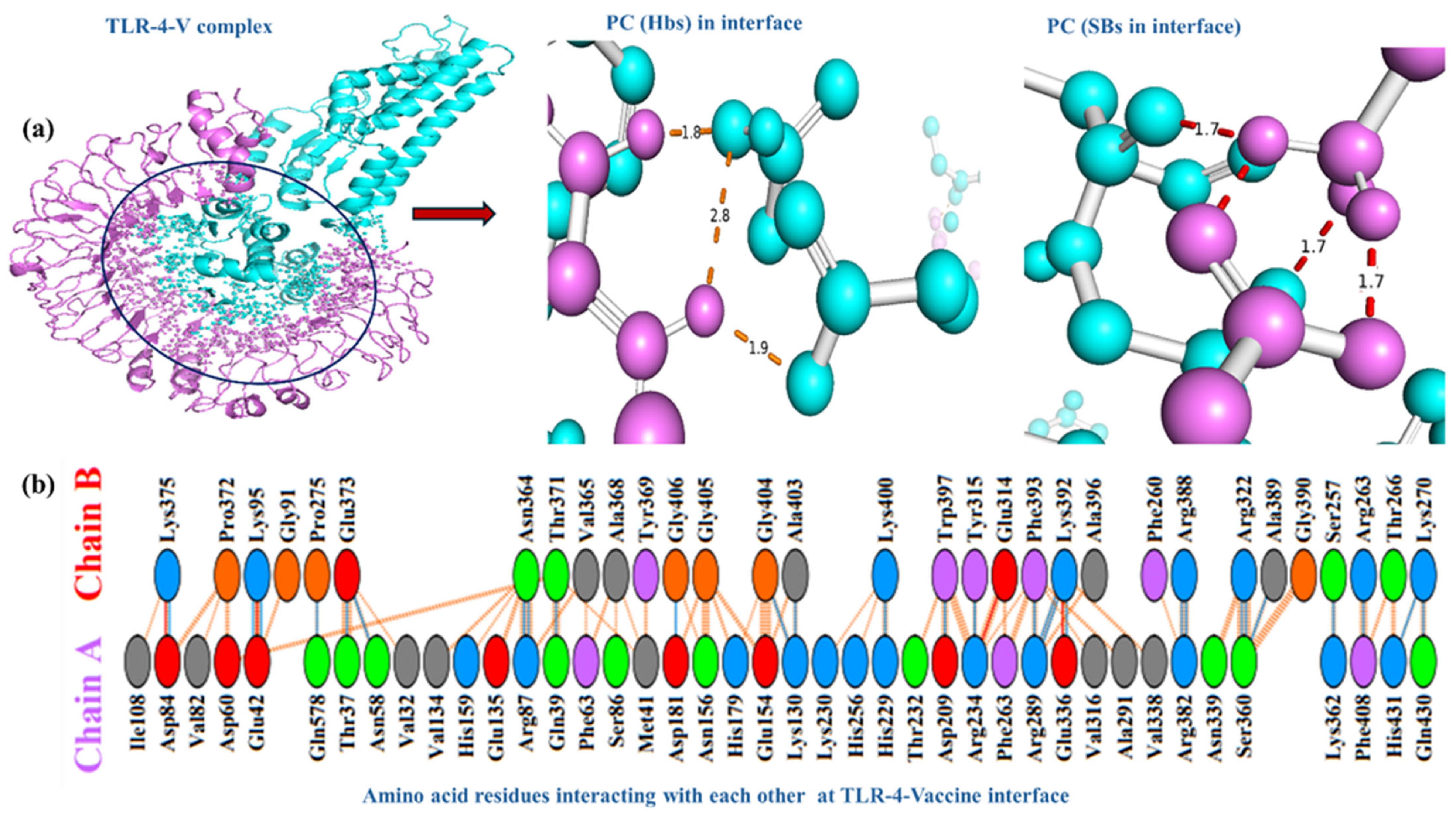 Biomedicines 13 01439 g004