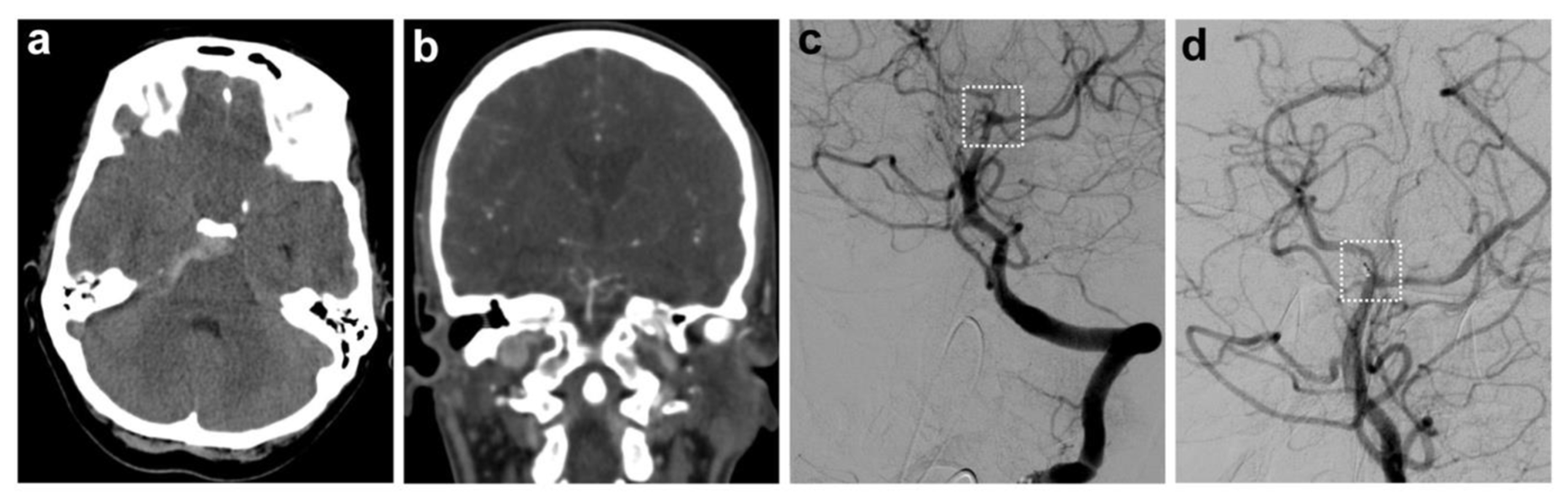 Biomedicines 13 01444 g001