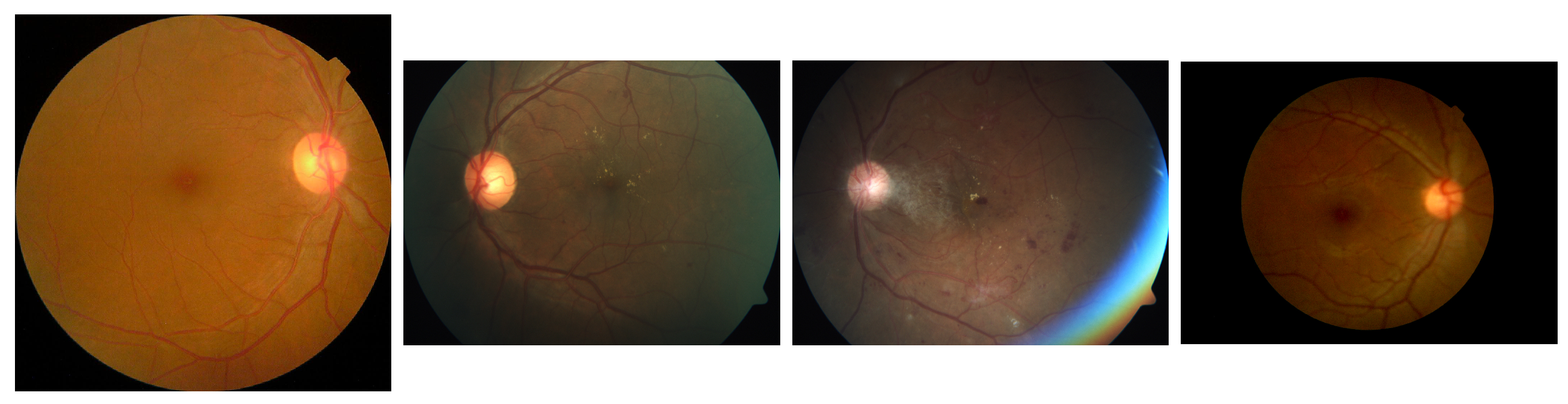 Biomedicines 13 01446 g002