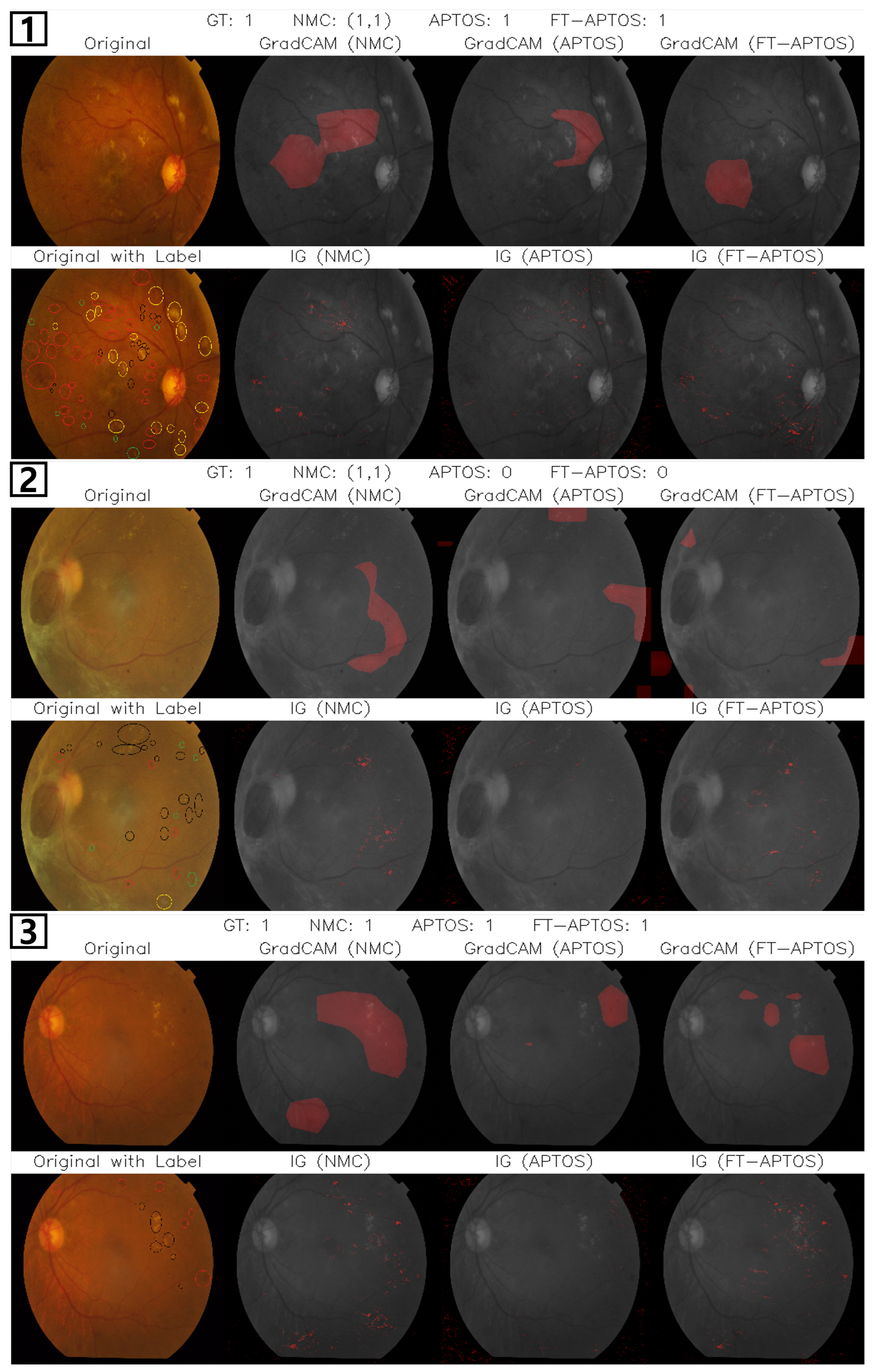 Biomedicines 13 01446 g005
