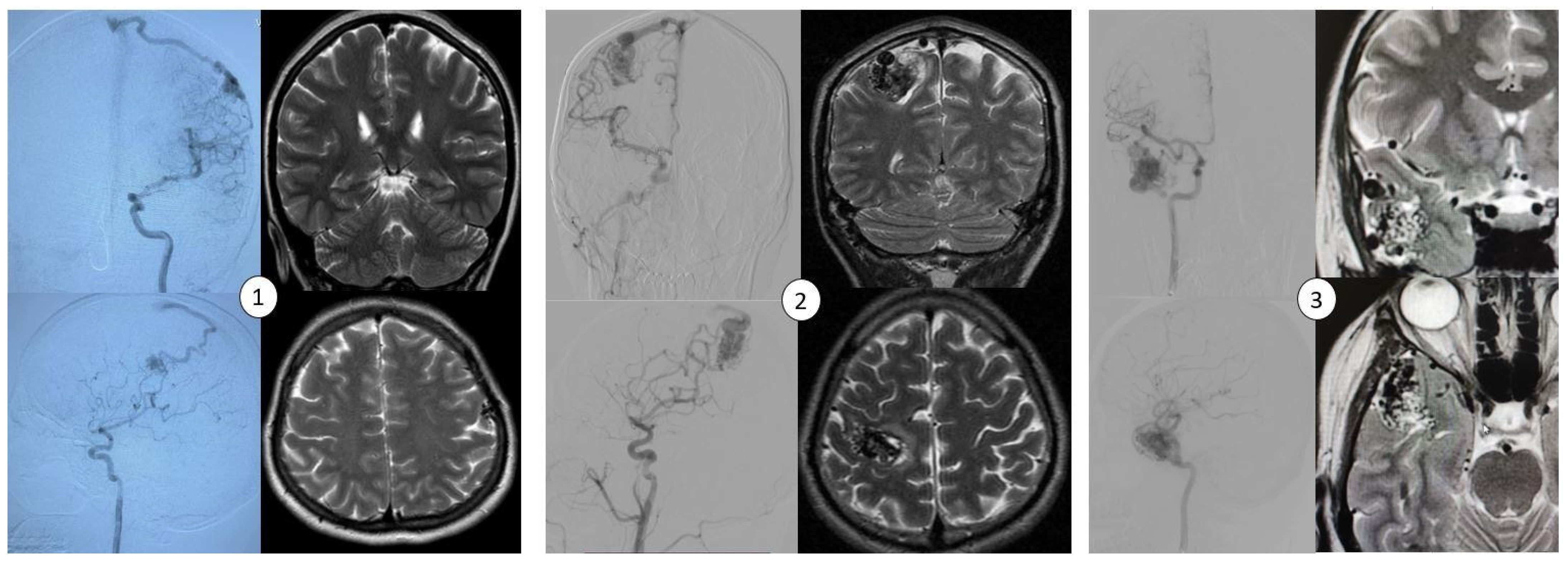 Biomedicines 13 01451 g001