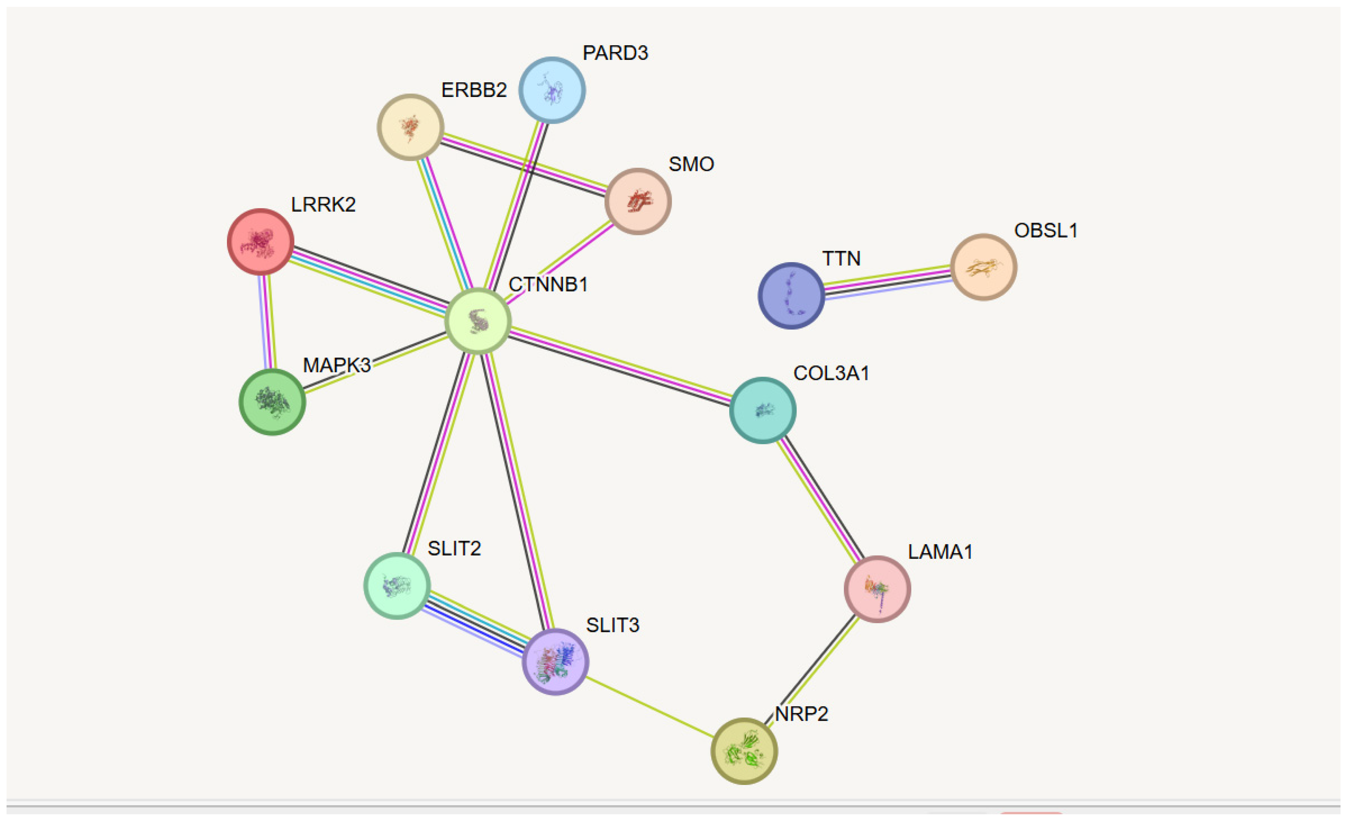 Biomedicines 13 01451 g003