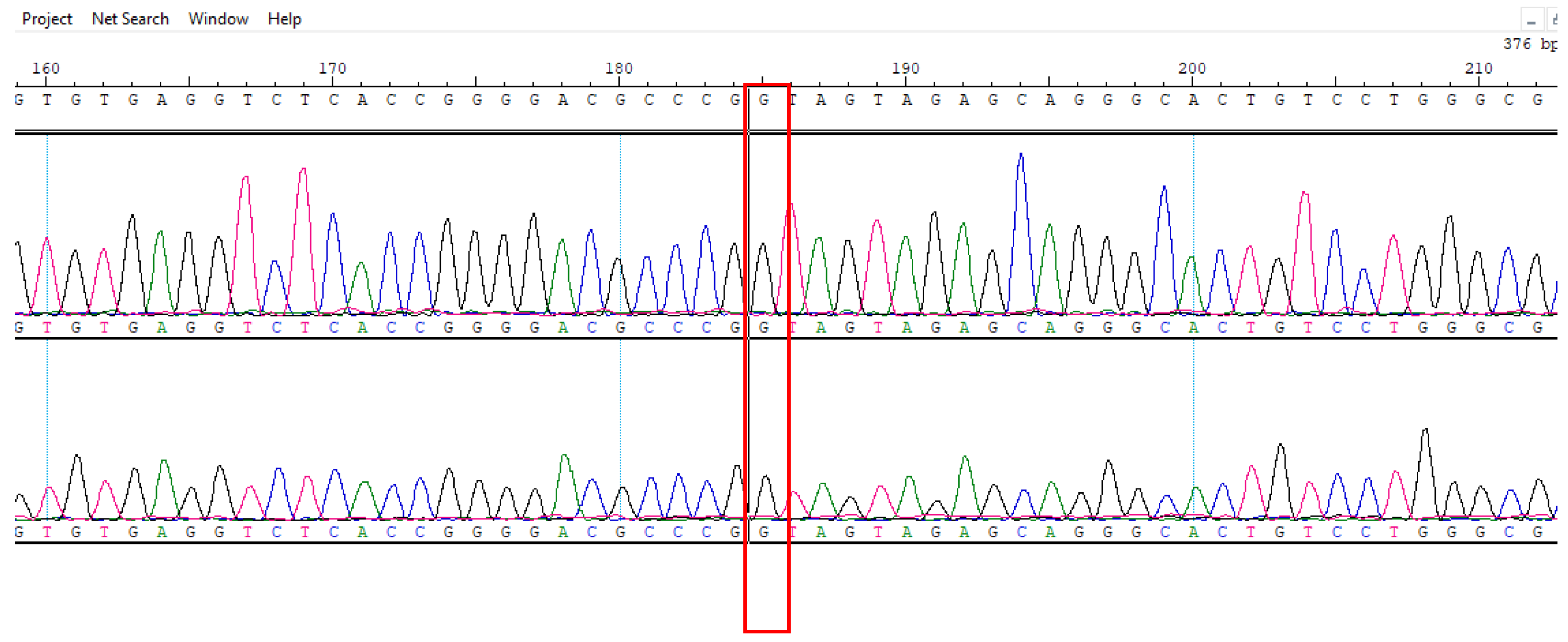 Biomedicines 13 01451 g0a11