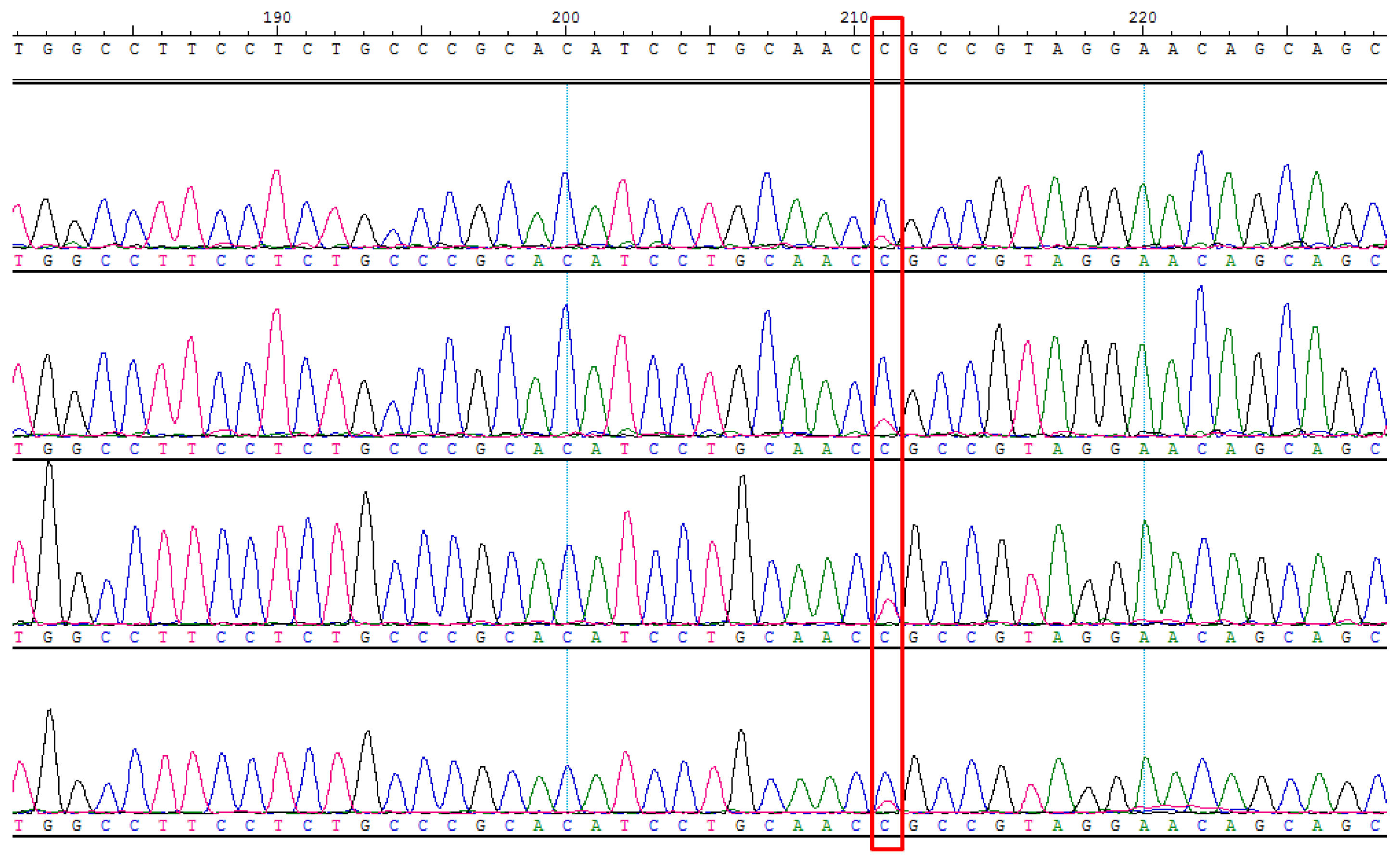 Biomedicines 13 01451 g0a2