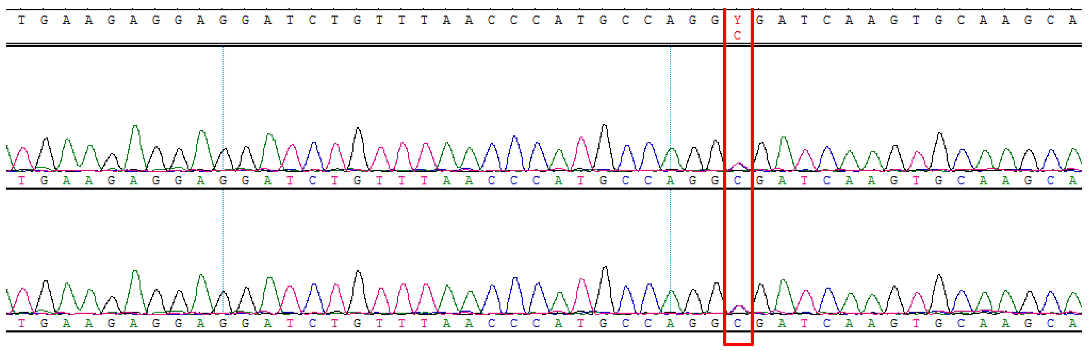 Biomedicines 13 01451 g0a3