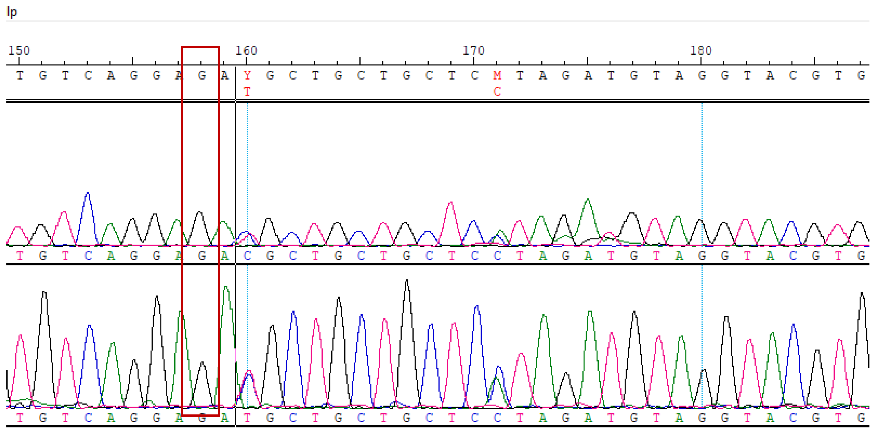 Biomedicines 13 01451 g0a4