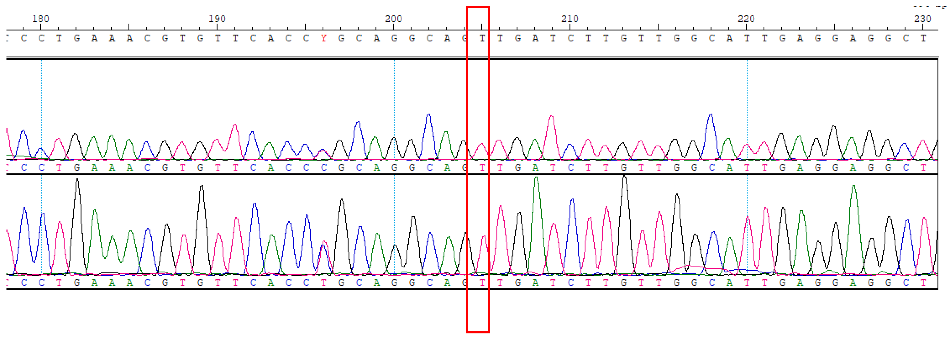 Biomedicines 13 01451 g0a8