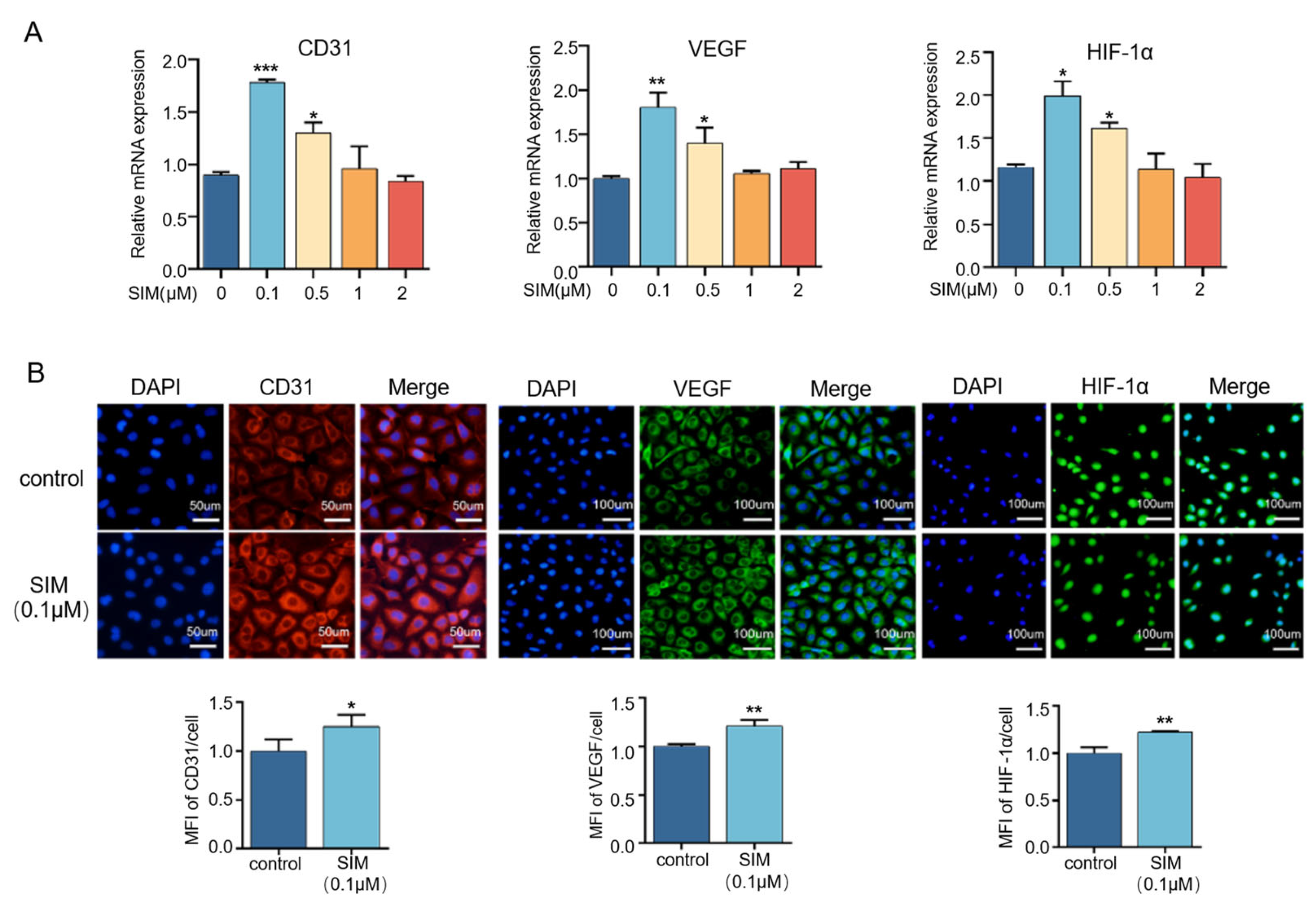 Biomedicines 13 01454 g003 Biomedicines 13 01454 g003