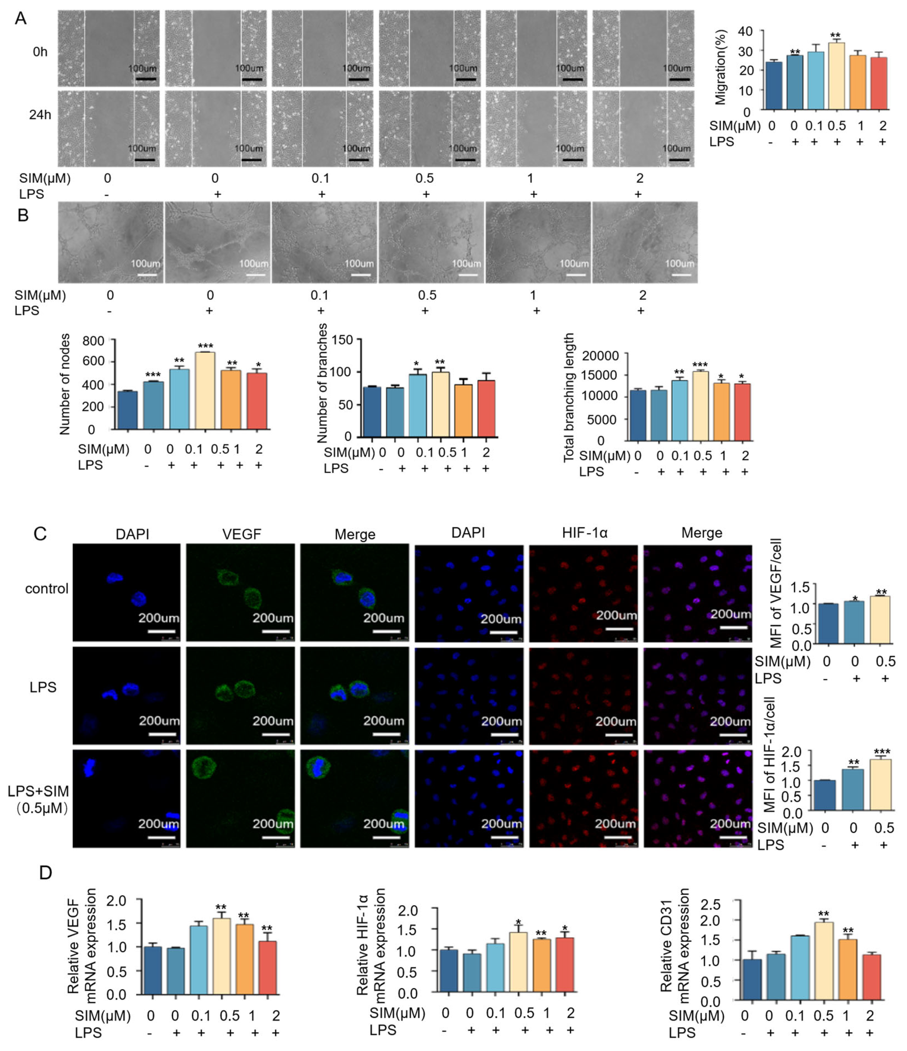 Biomedicines 13 01454 g006 Biomedicines 13 01454 g006