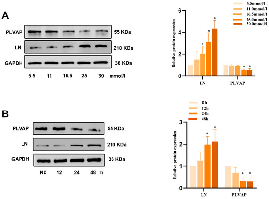Biomedicines 13 01459 g0a1