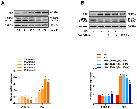 Biomedicines 13 01459 g0a3