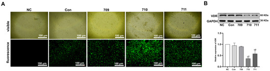Biomedicines 13 01459 g0a4