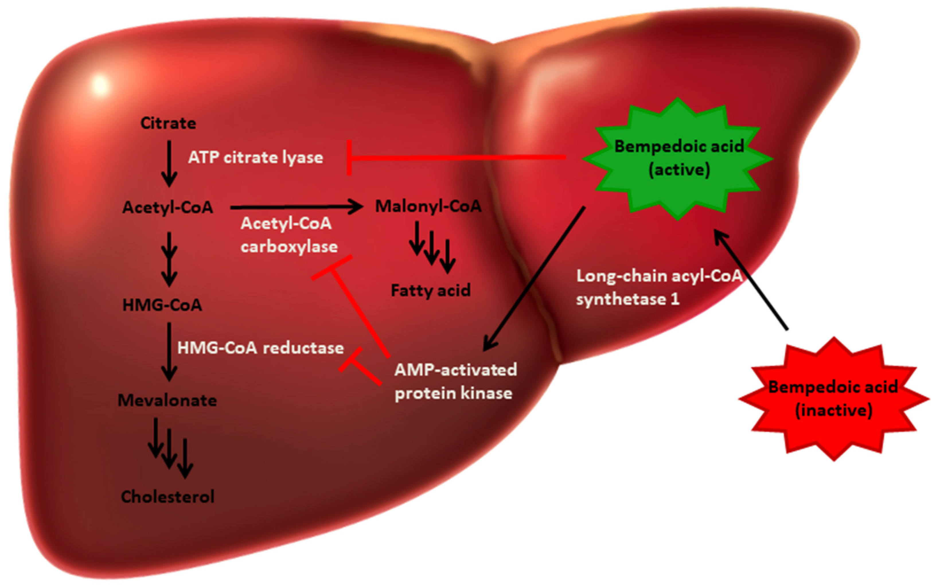 Biomedicines 13 01460 g001
