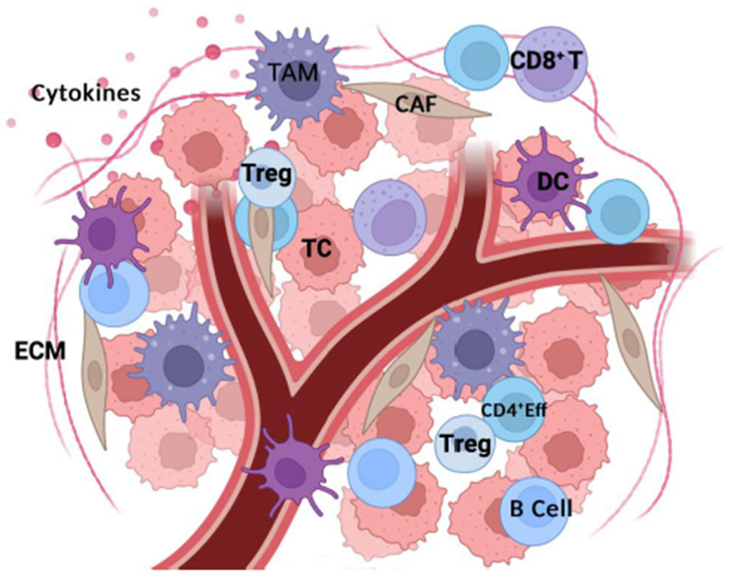 Biomedicines 13 01461 g001