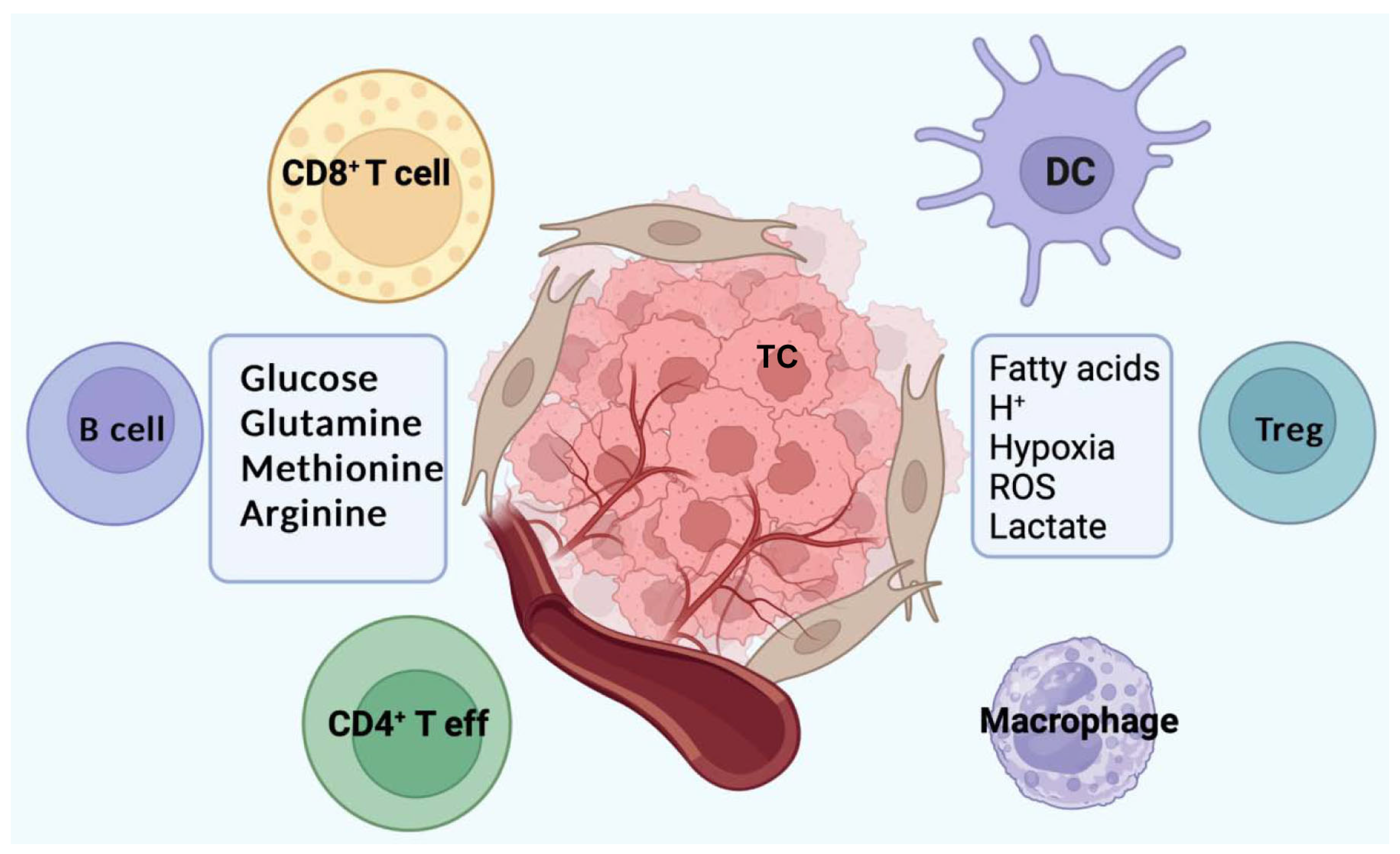 Biomedicines 13 01461 g002
