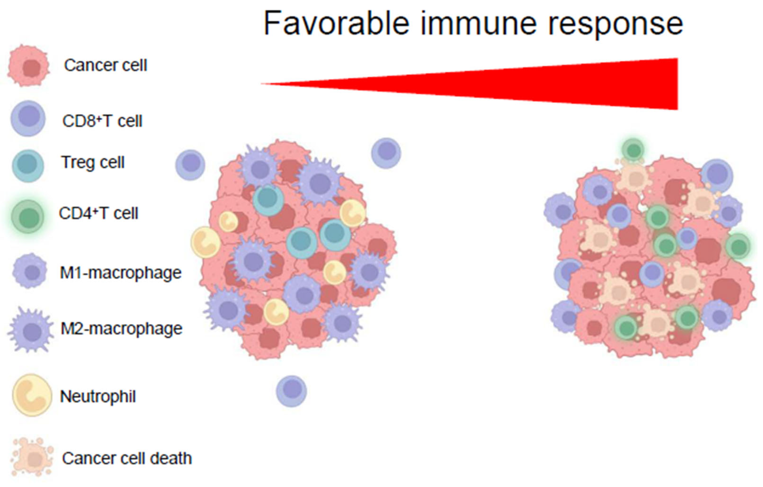 Biomedicines 13 01461 g003