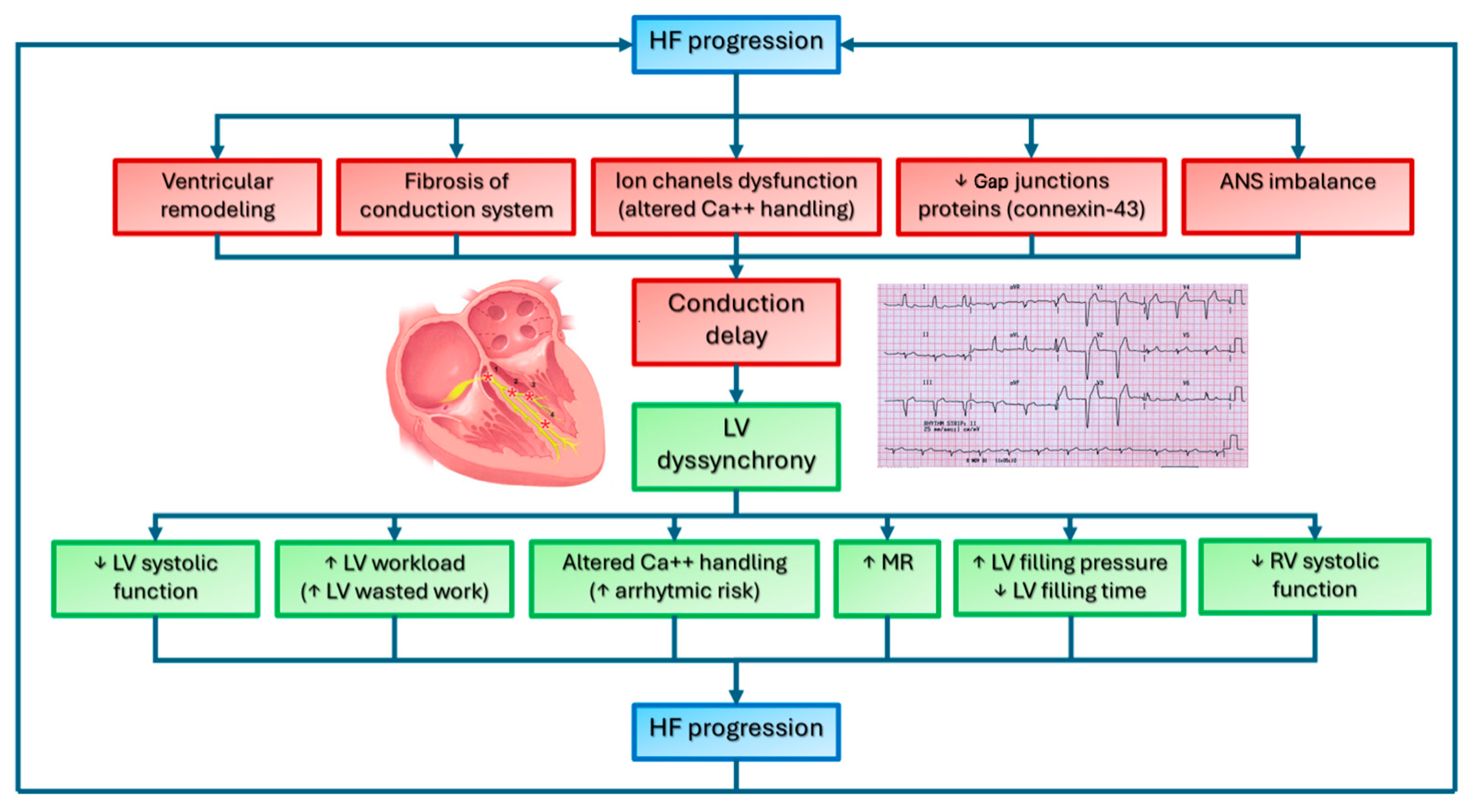 Biomedicines 13 01462 g002