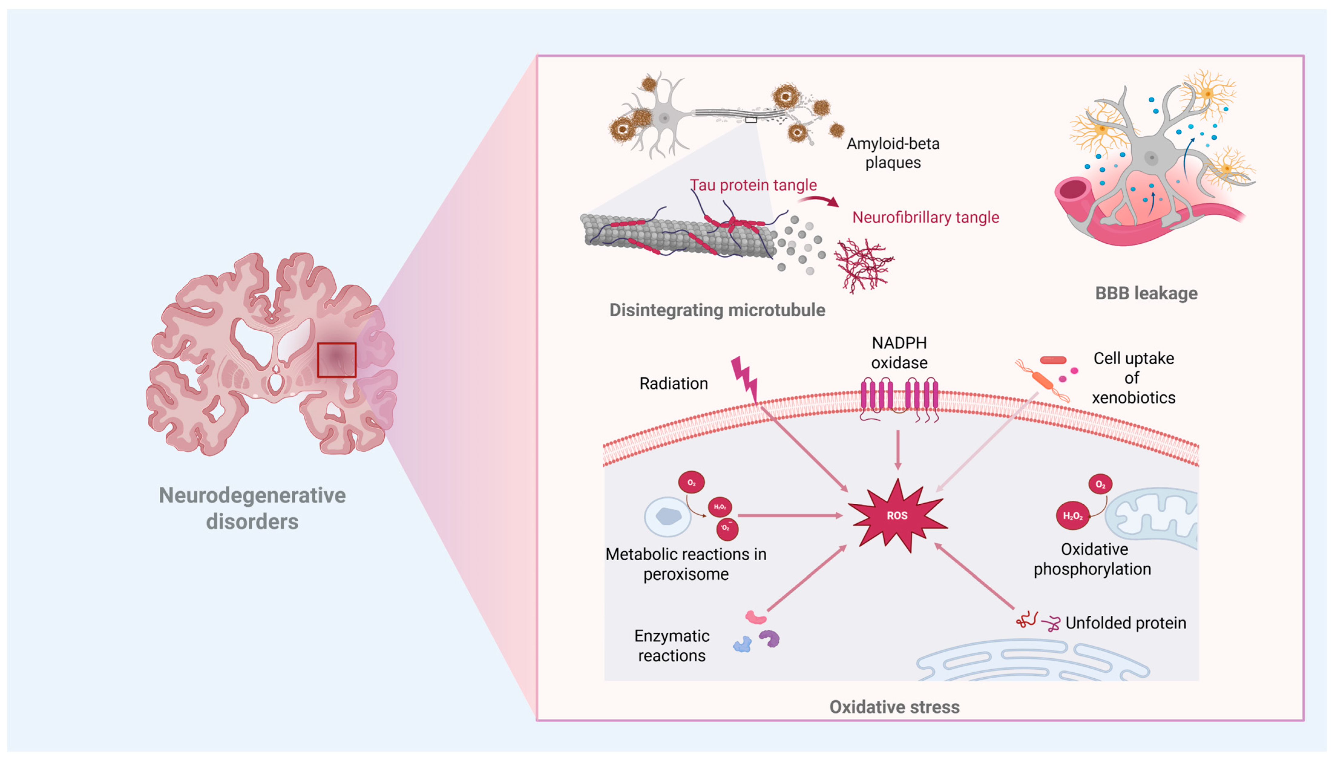 Biomedicines 13 01464 g001