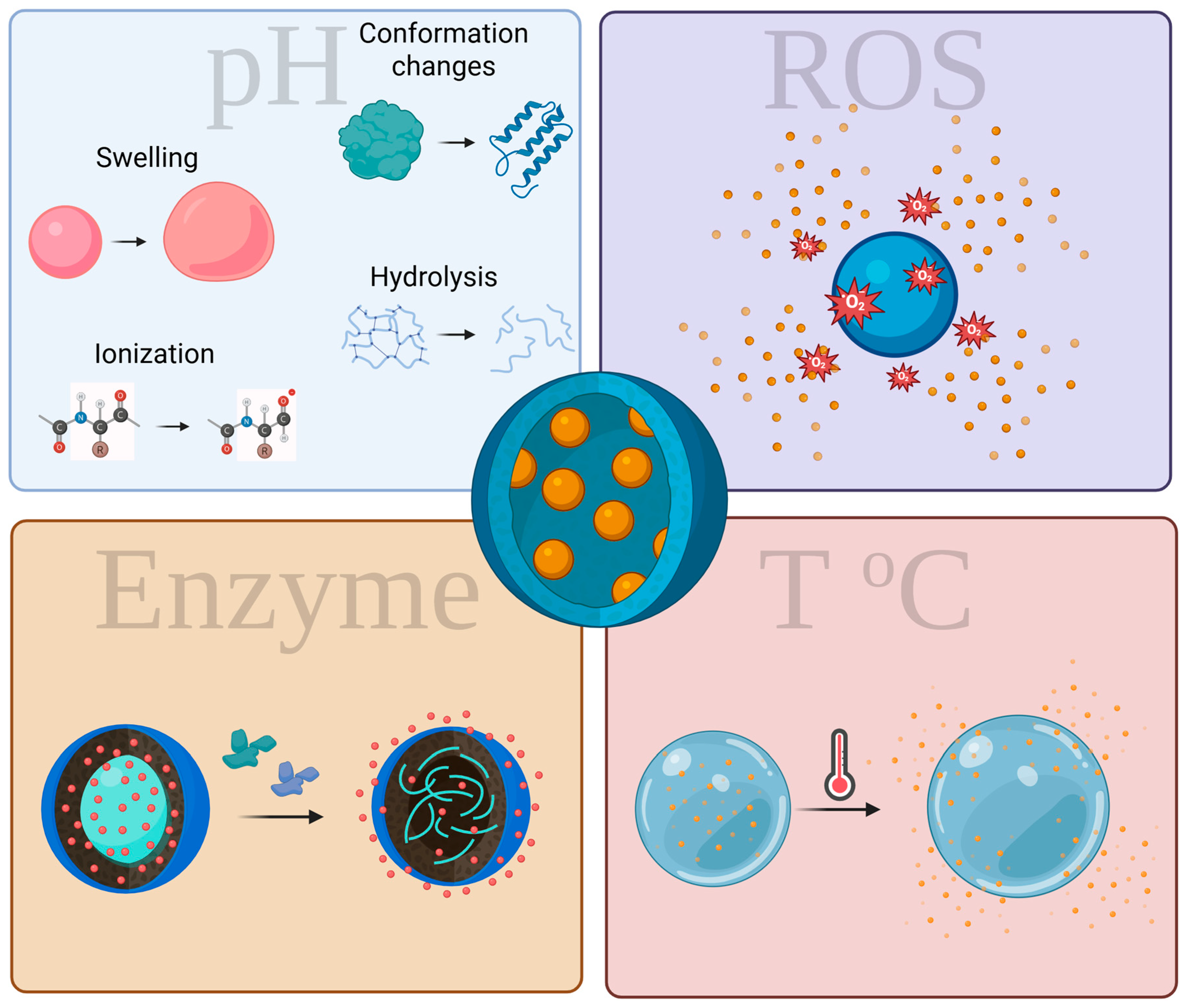 Biomedicines 13 01464 g003