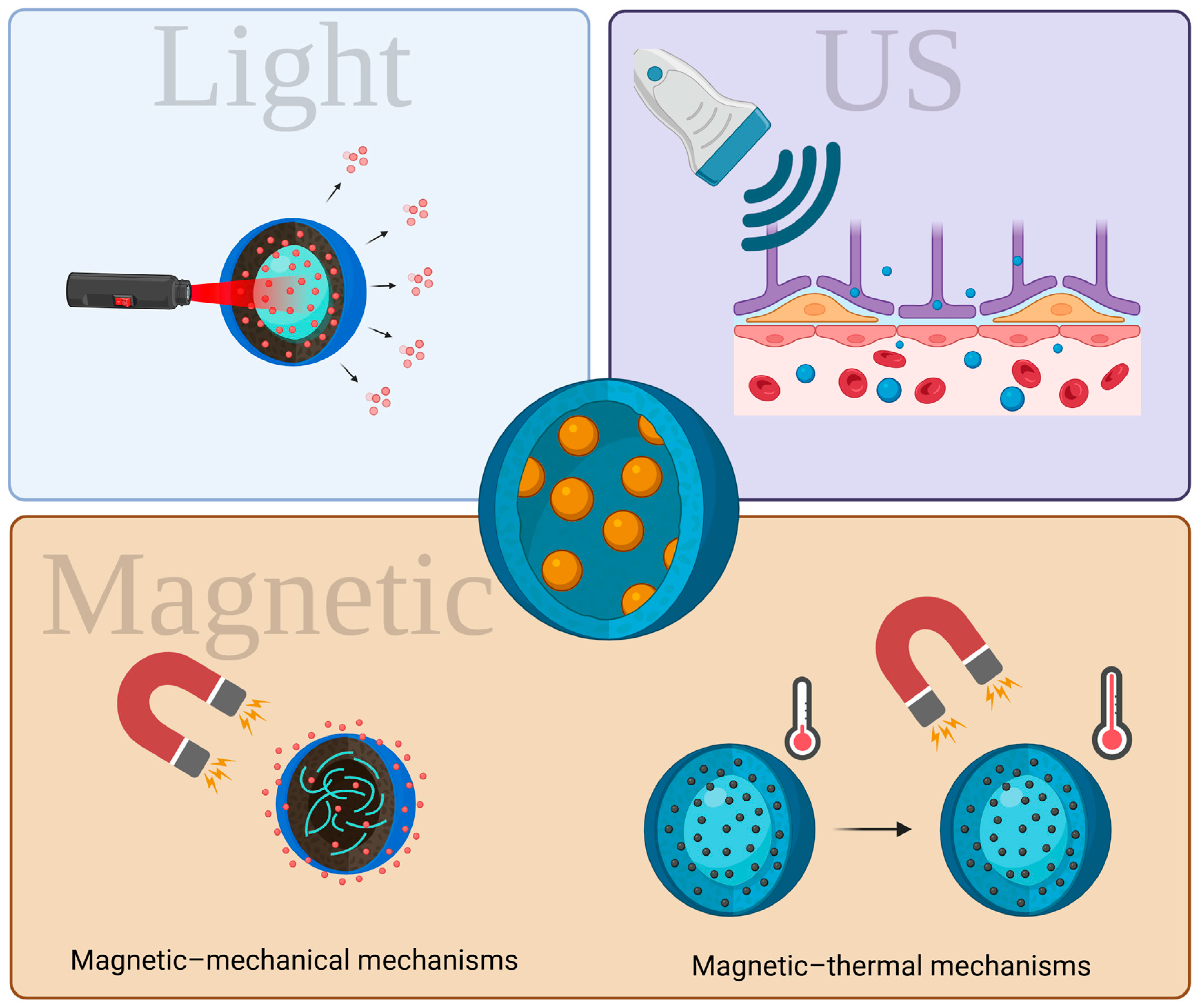 Biomedicines 13 01464 g004