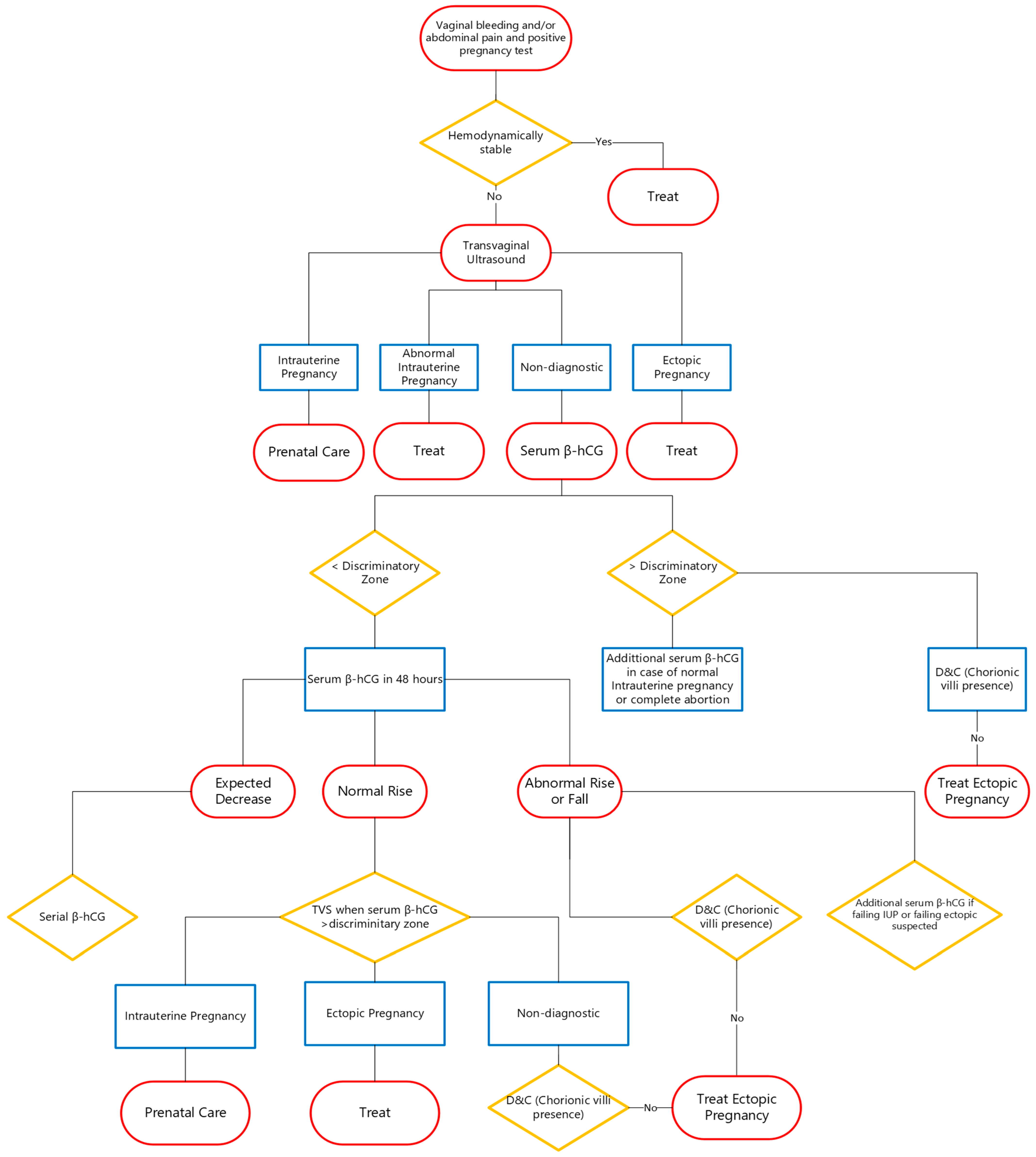 Biomedicines 13 01465 g001