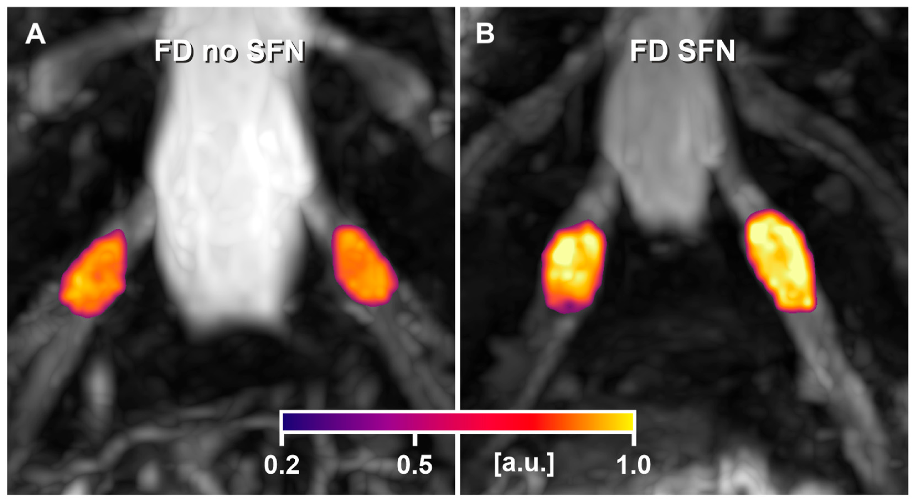 Biomedicines 13 01468 g003