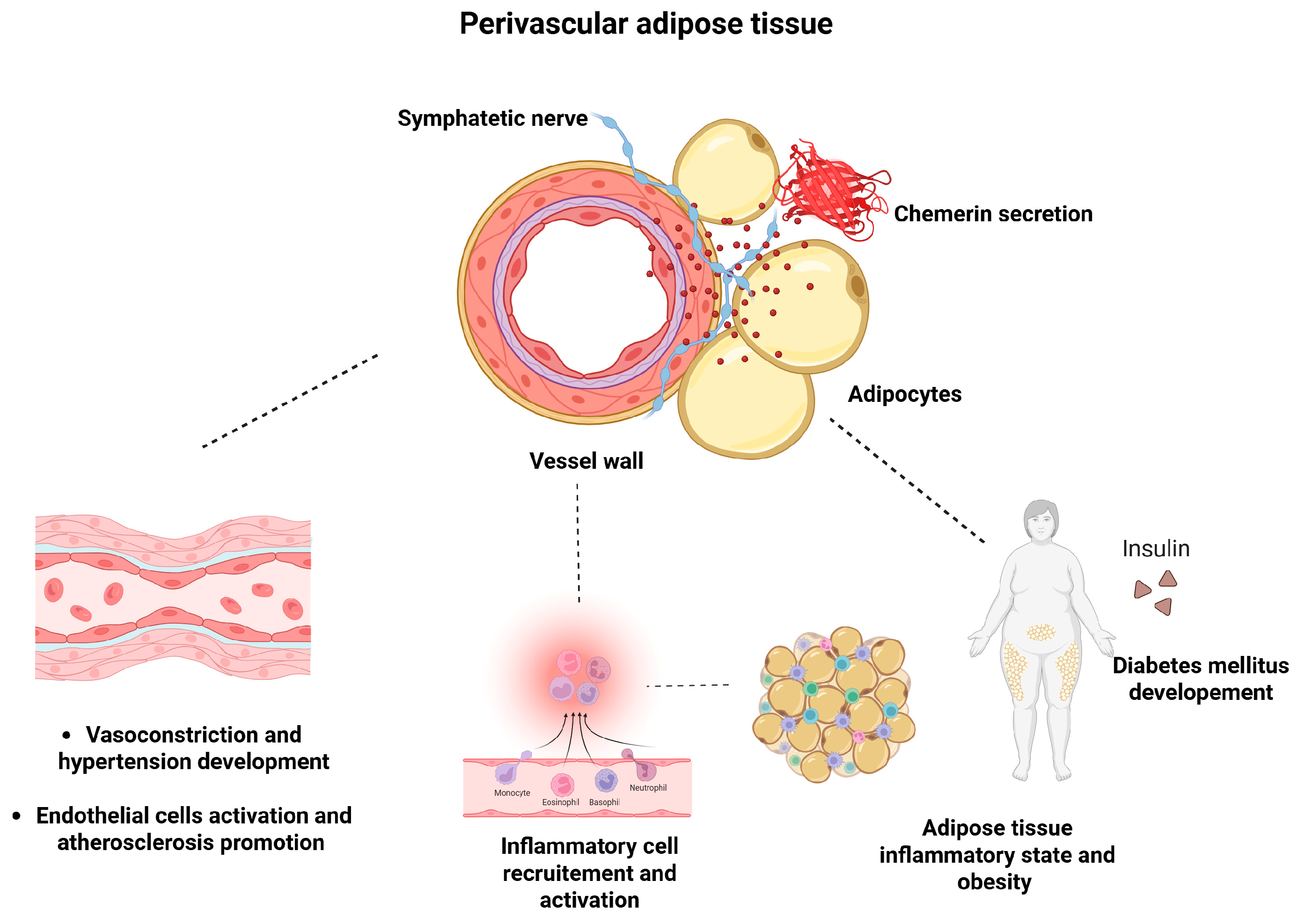 Biomedicines 13 01481 g002 Biomedicines 13 01481 g002