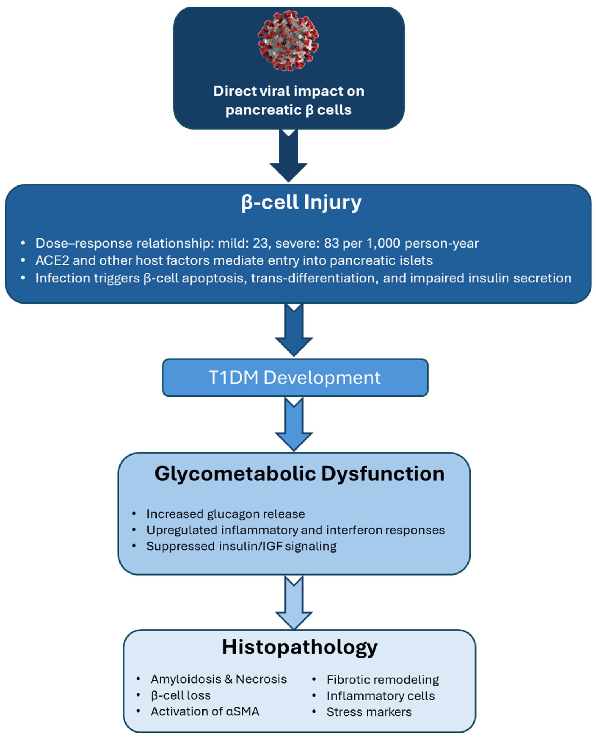 Biomedicines 13 01482 g002