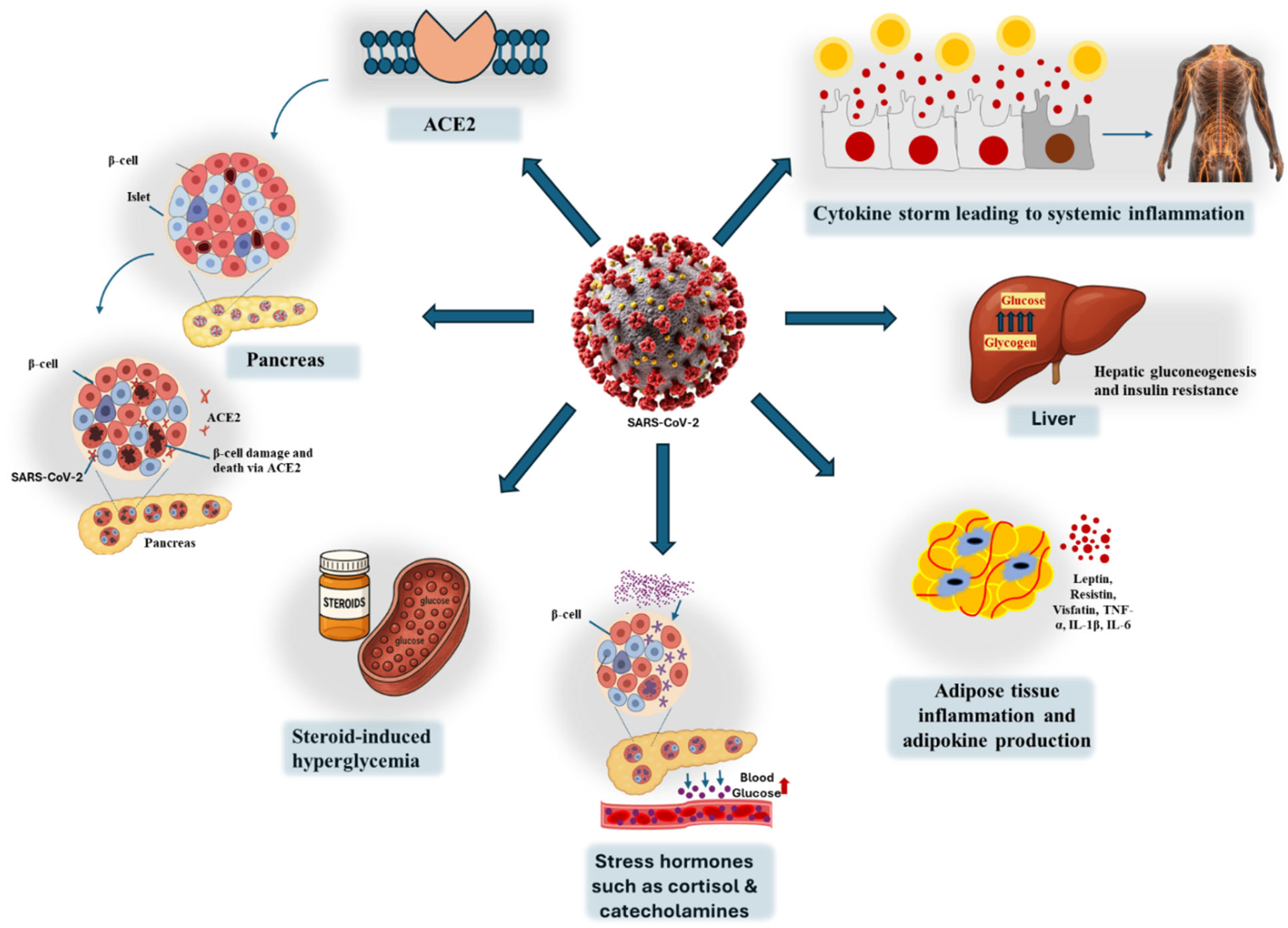 Biomedicines 13 01482 g005