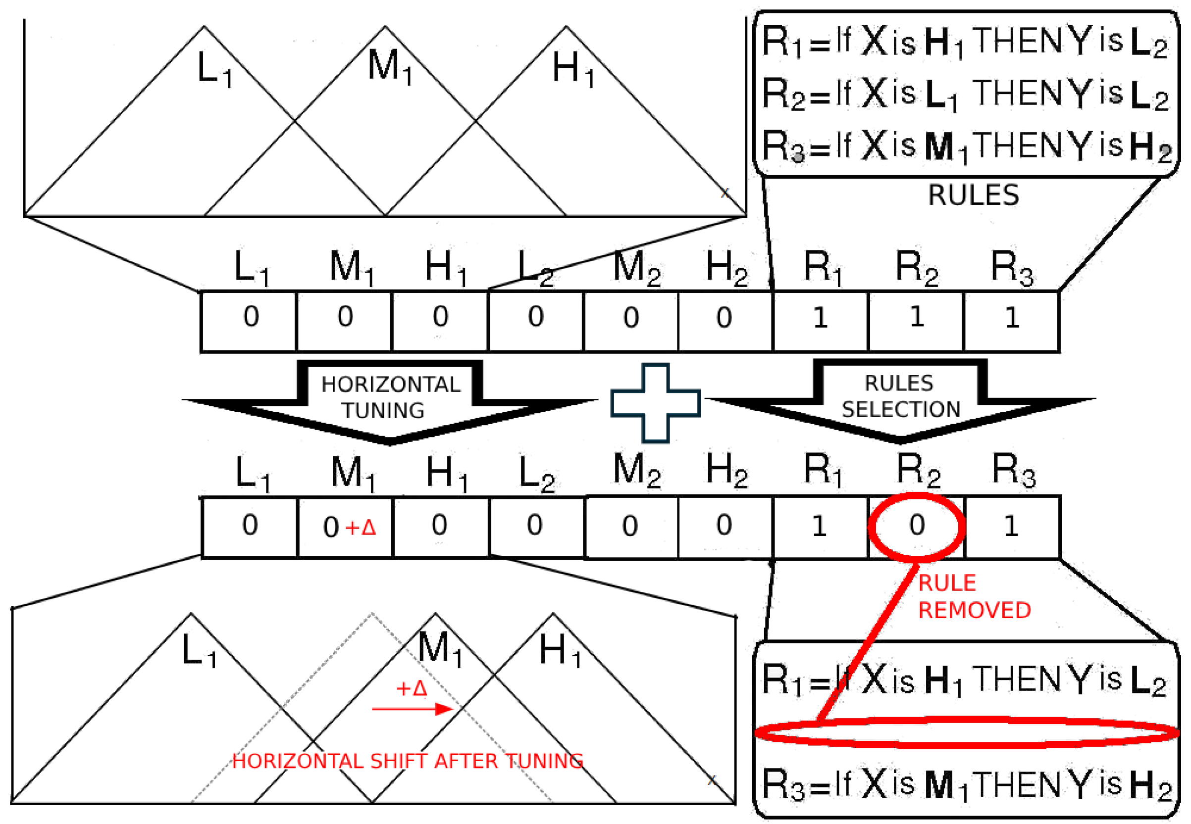 Biomedicines 13 01483 g001