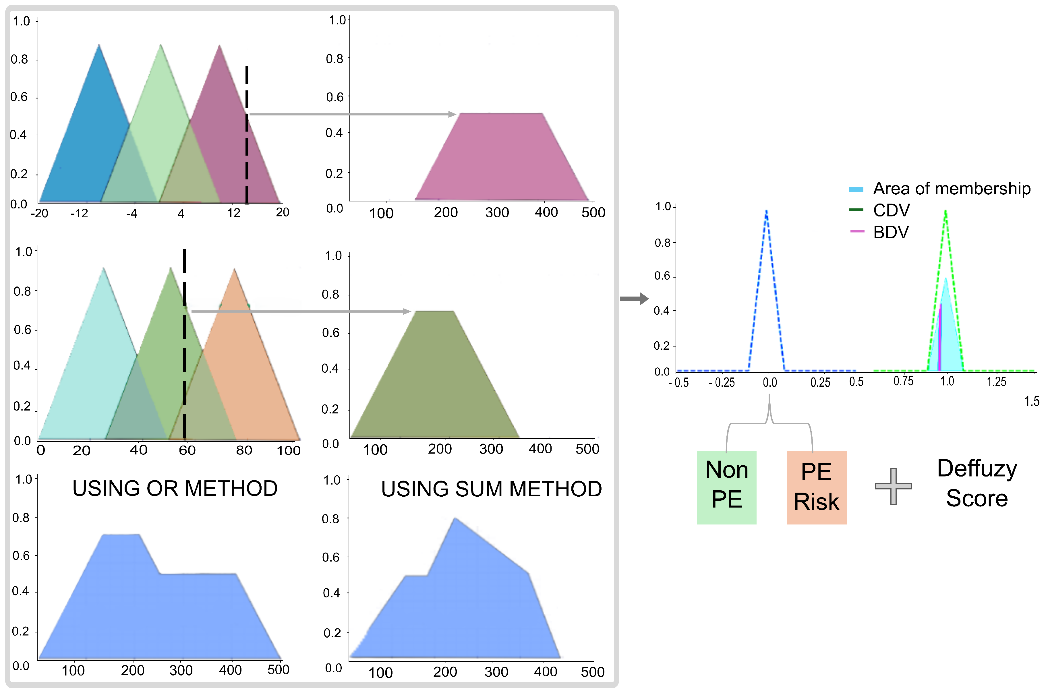 Biomedicines 13 01483 g003