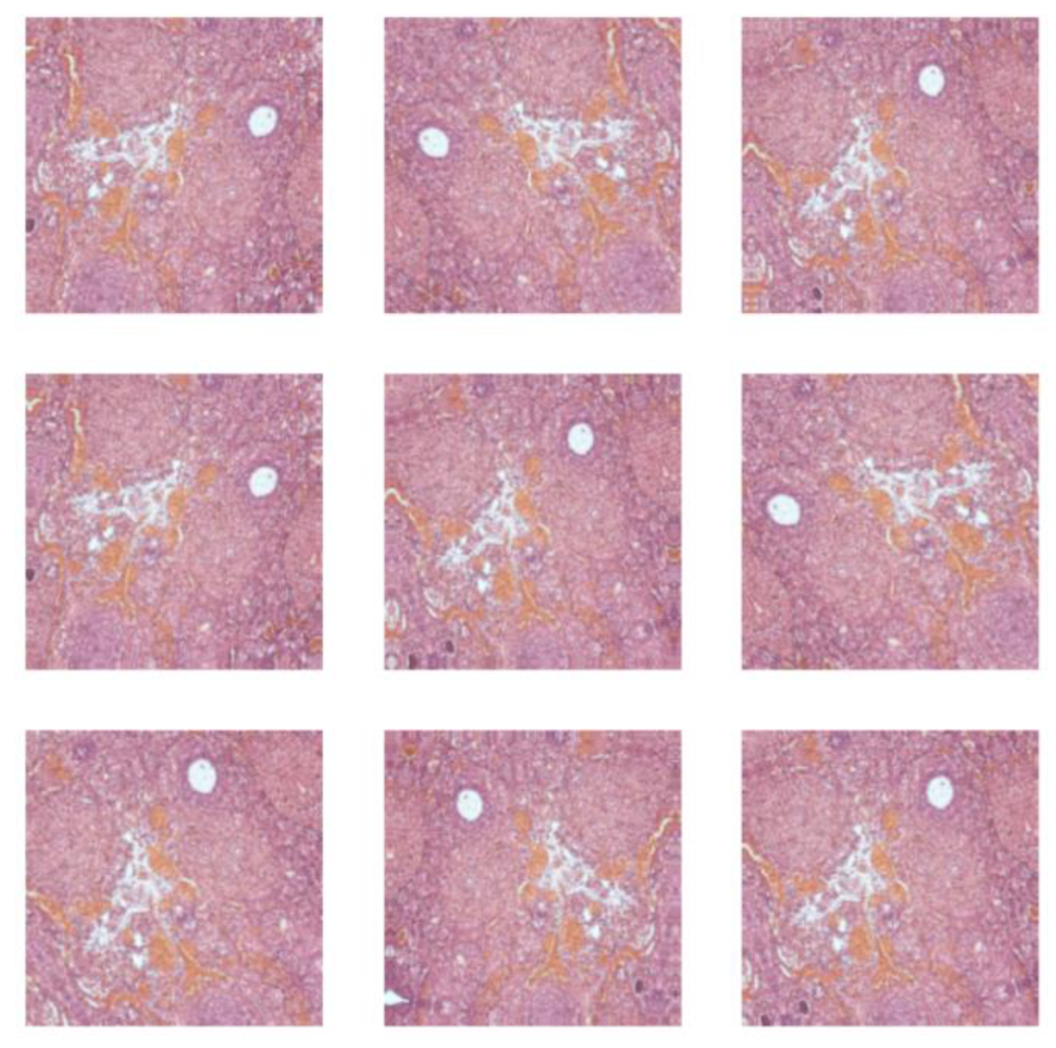 Biomedicines 13 01494 g003 Biomedicines 13 01494 g003