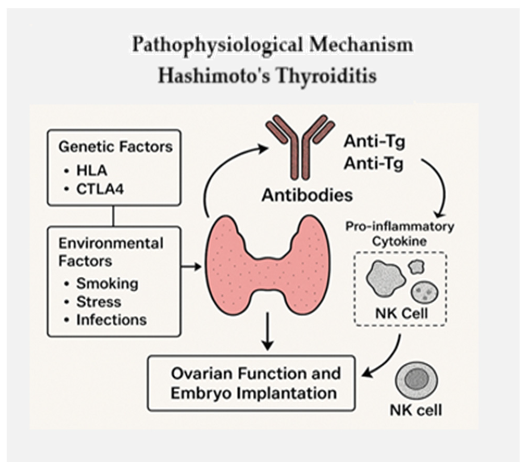 Biomedicines 13 01495 g001