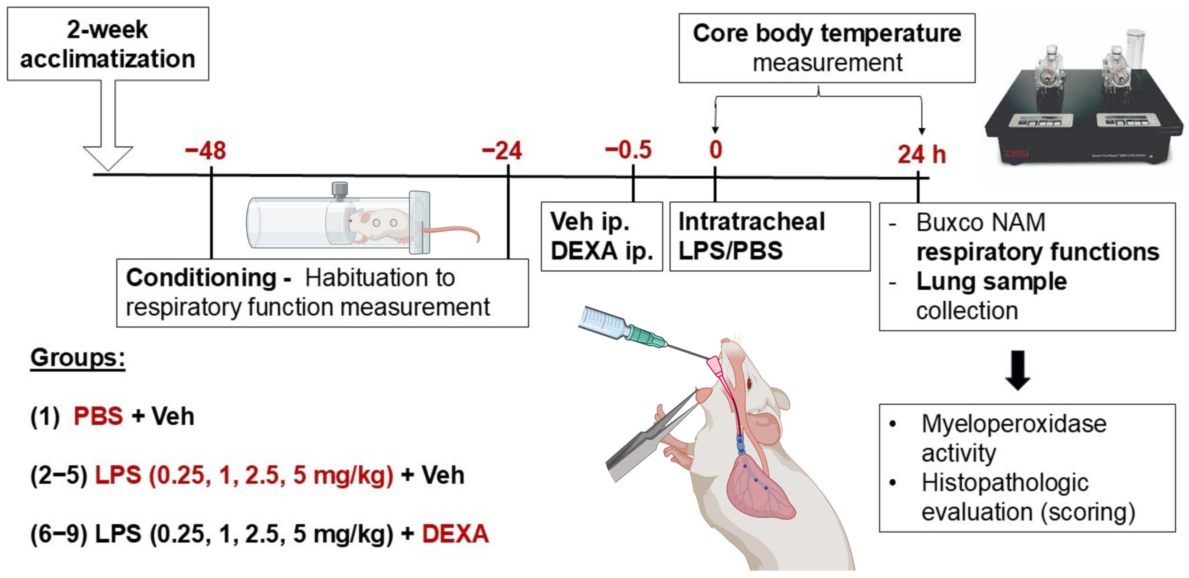Biomedicines 13 01498 g001