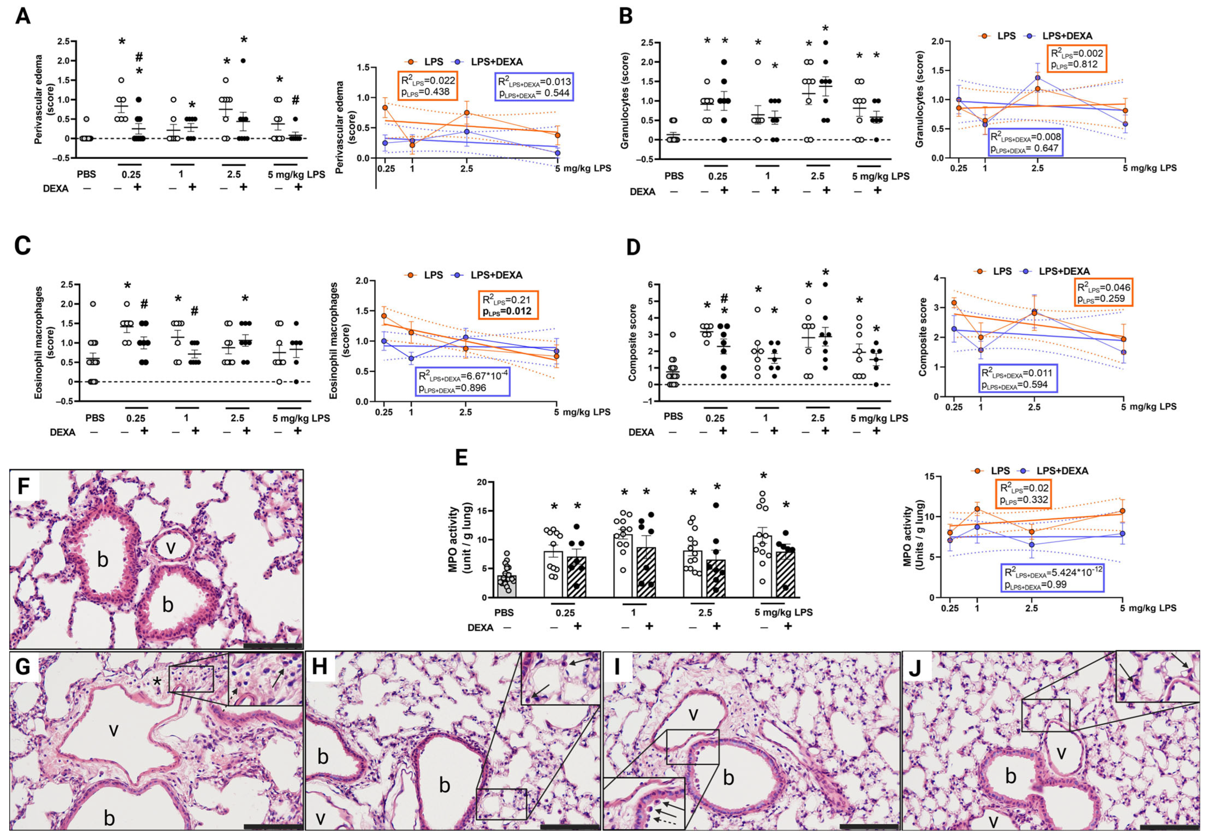 Biomedicines 13 01498 g005