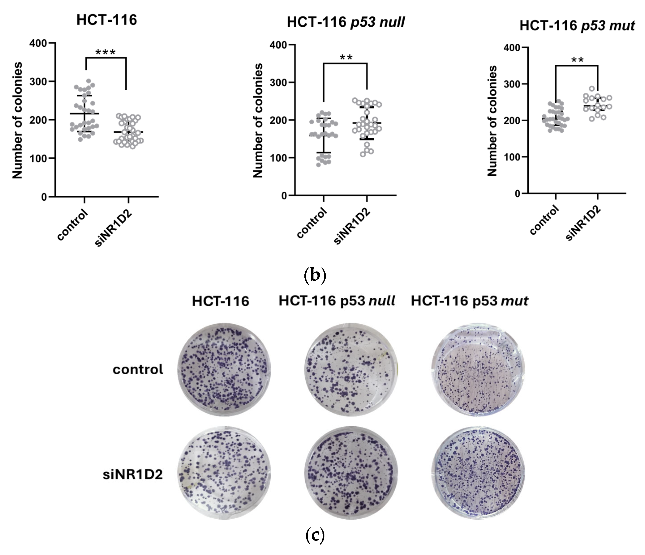 Biomedicines 13 01500 g002b