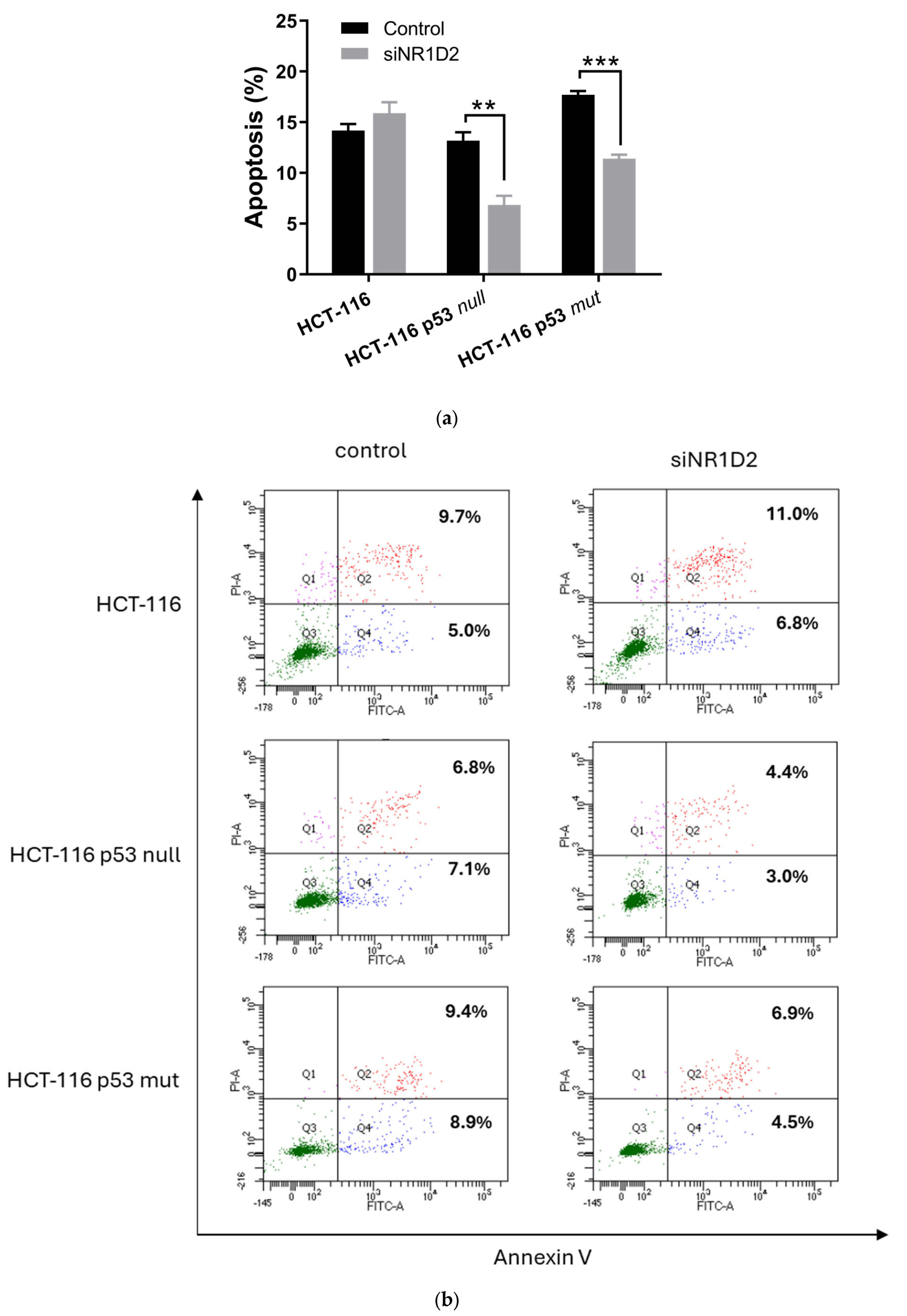 Biomedicines 13 01500 g004