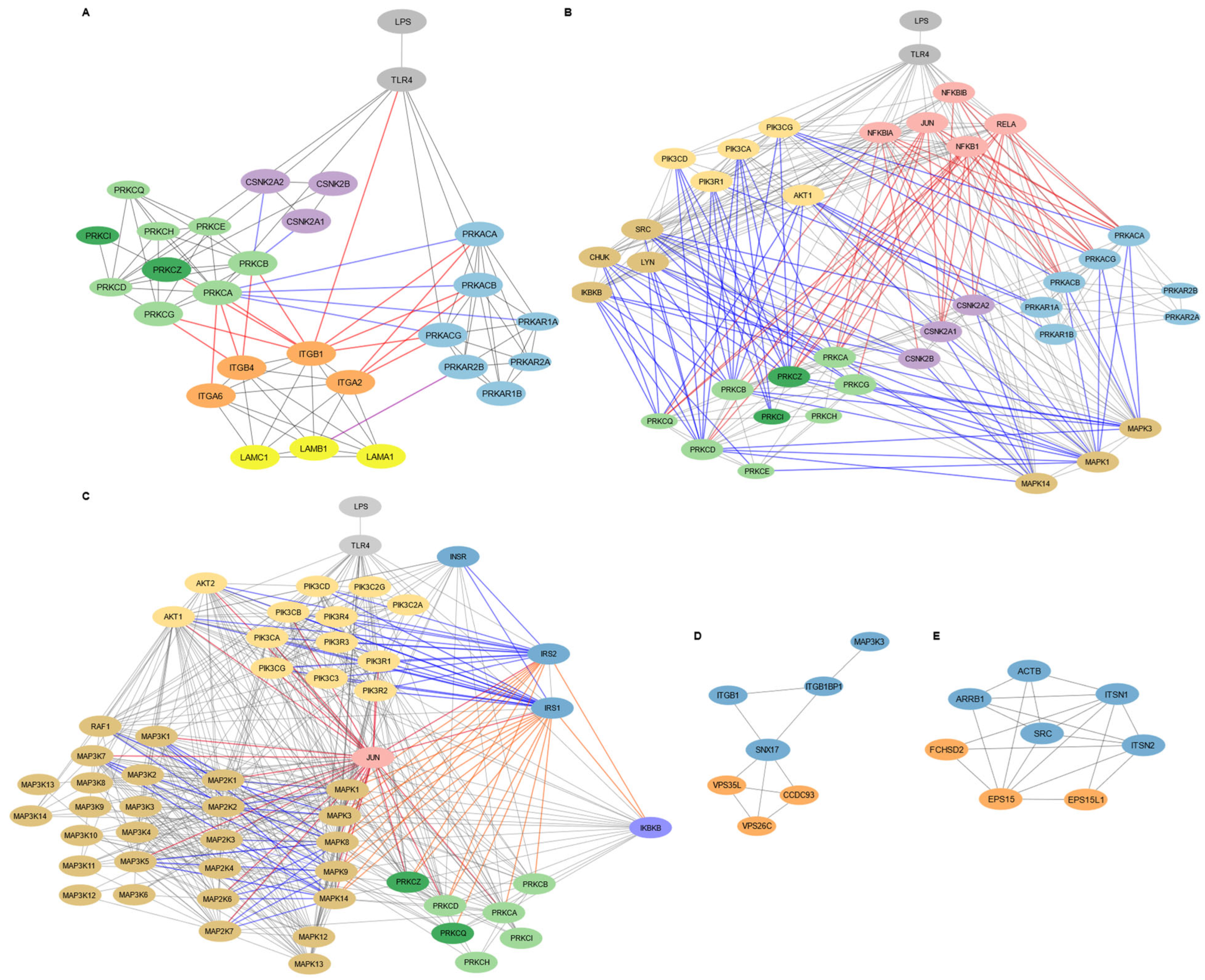 Biomedicines 13 01503 g003