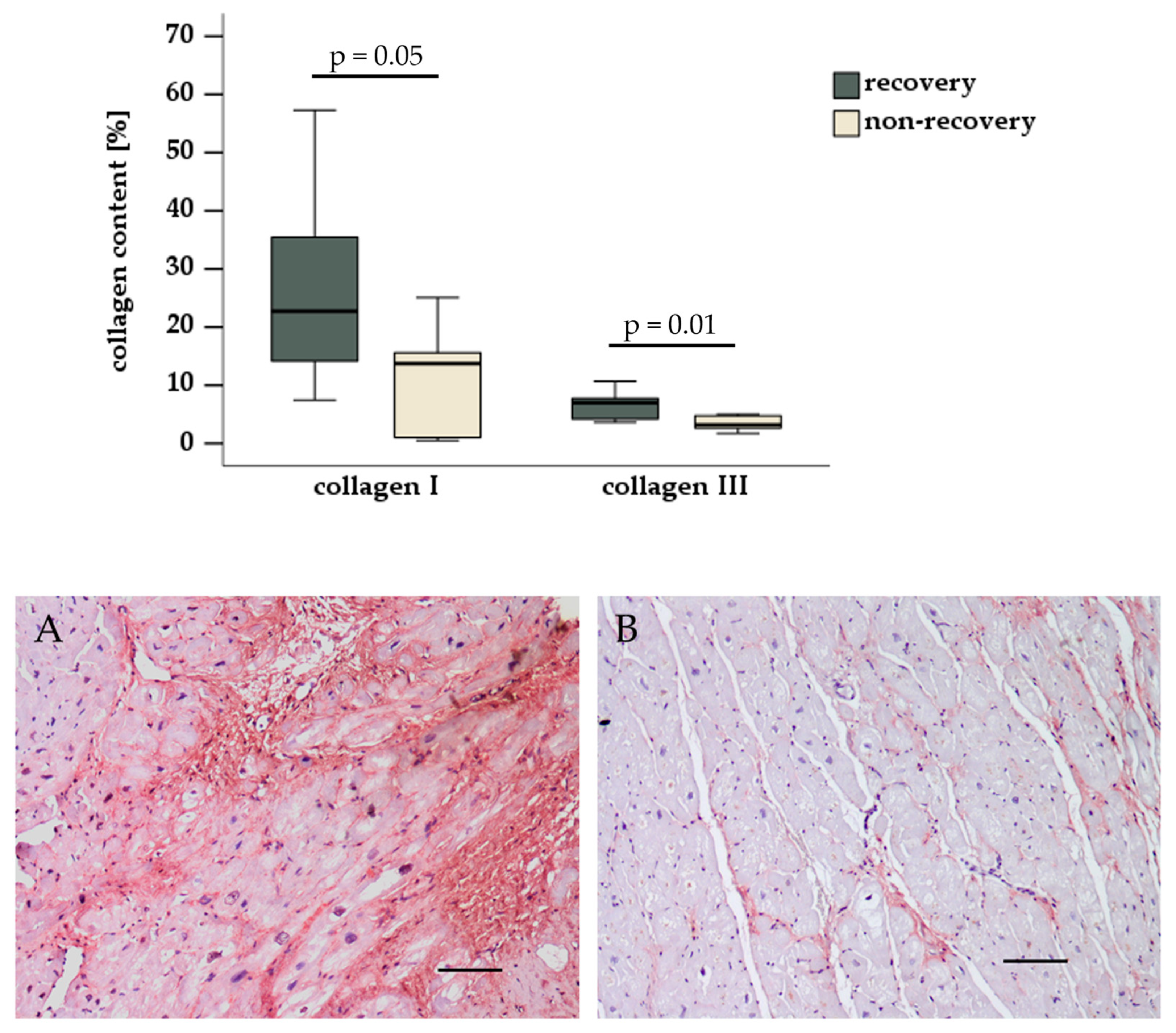 Biomedicines 13 01515 g001